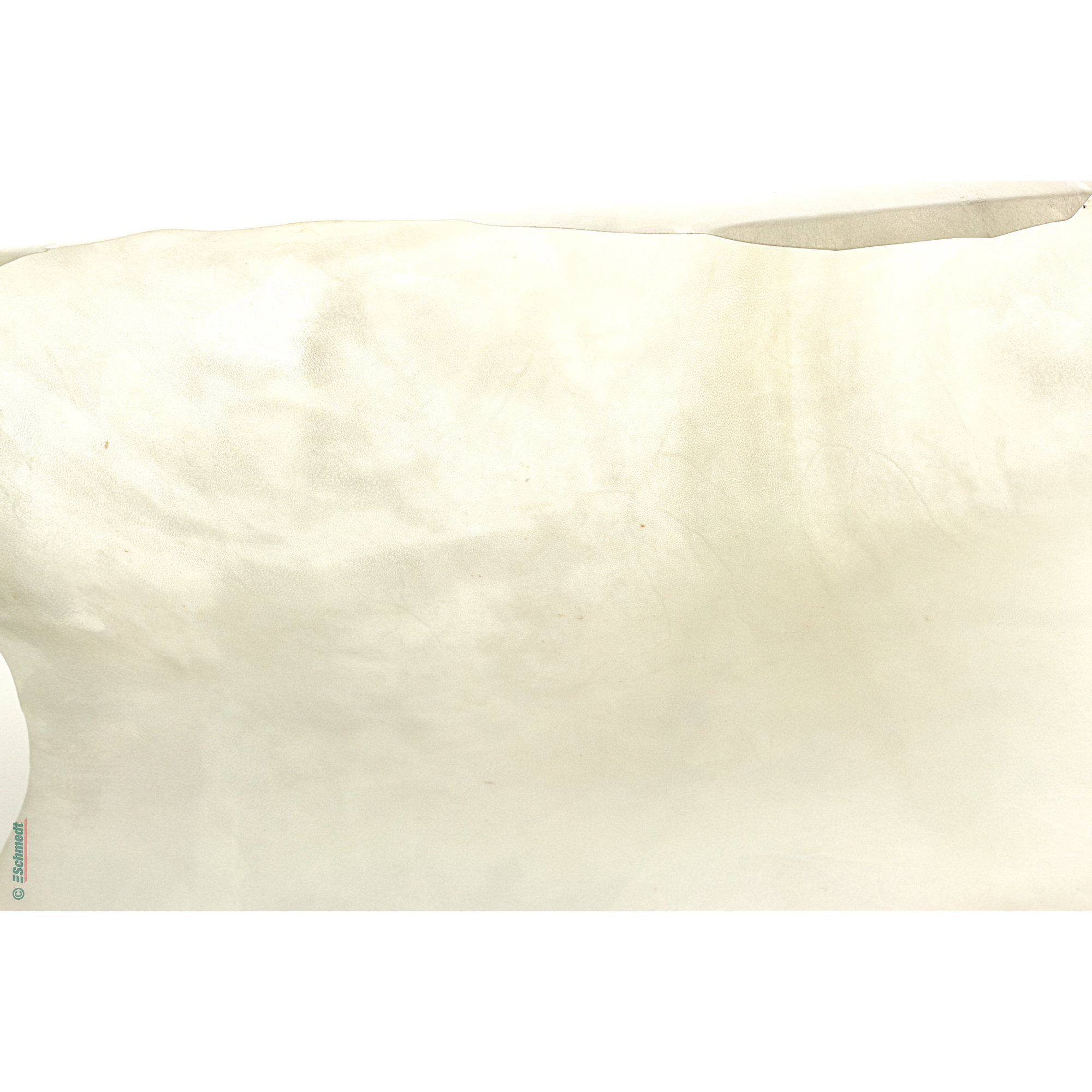 Goatling parchment - white - Thickness: approx. 0.2 - 0.3 mm - Unpolished goatling parchment with an average skin size of approx. 0.3 m² for... - image-3
