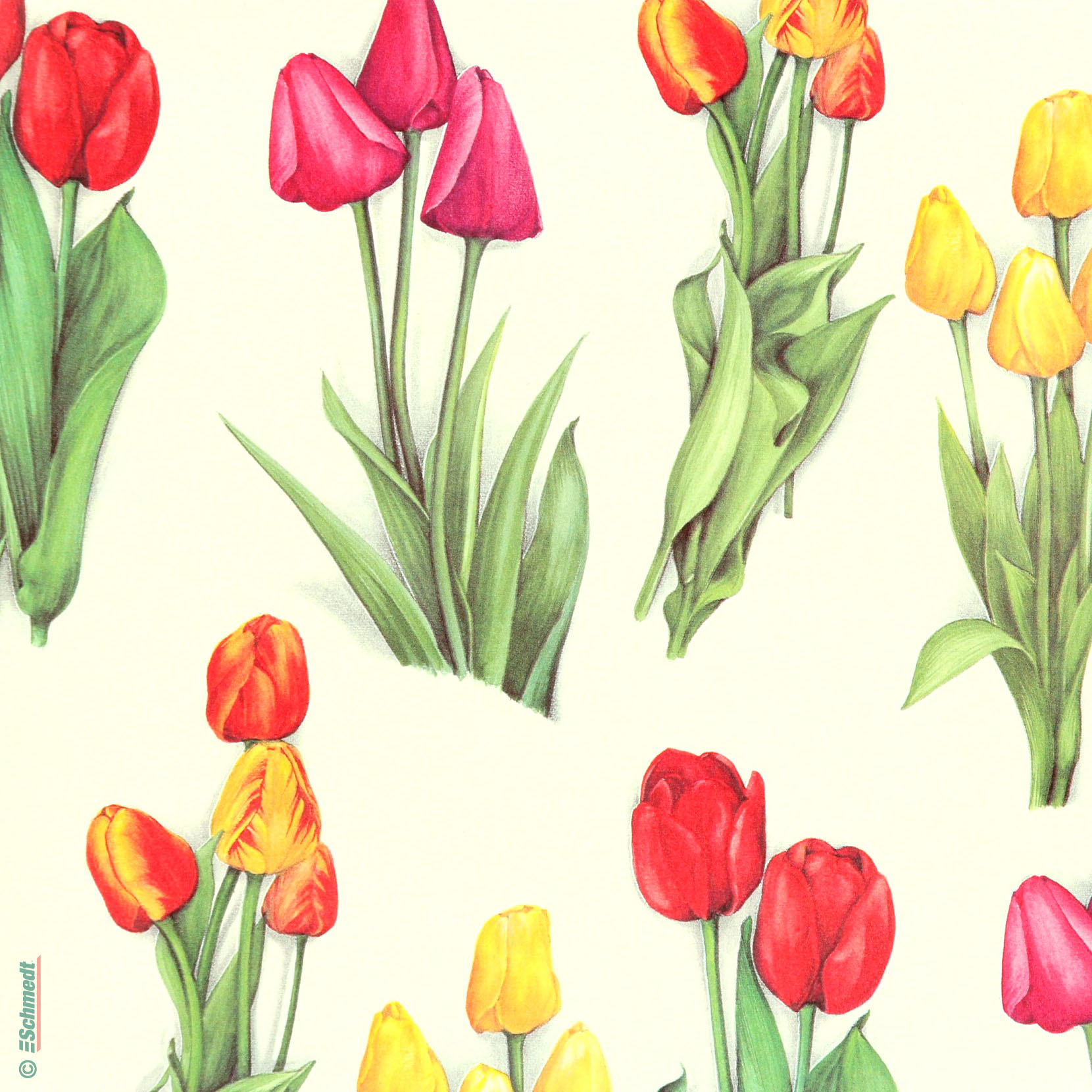 036 - Tulipanes