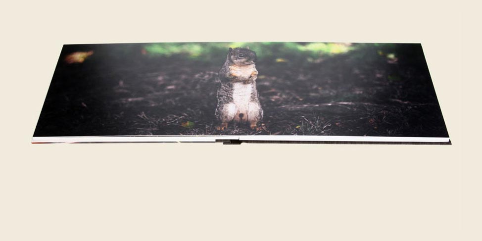 Loesung Fotobuecher, spezielle Materialien