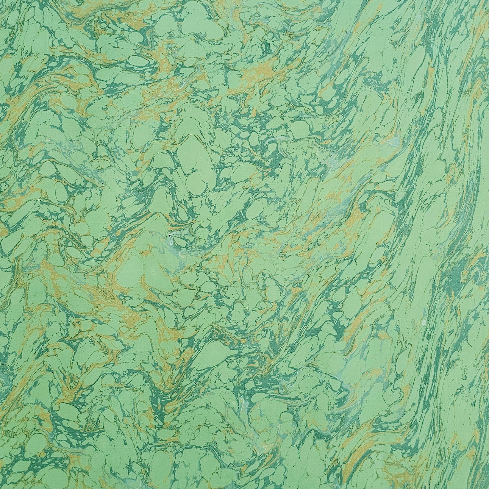 061 - vert clair