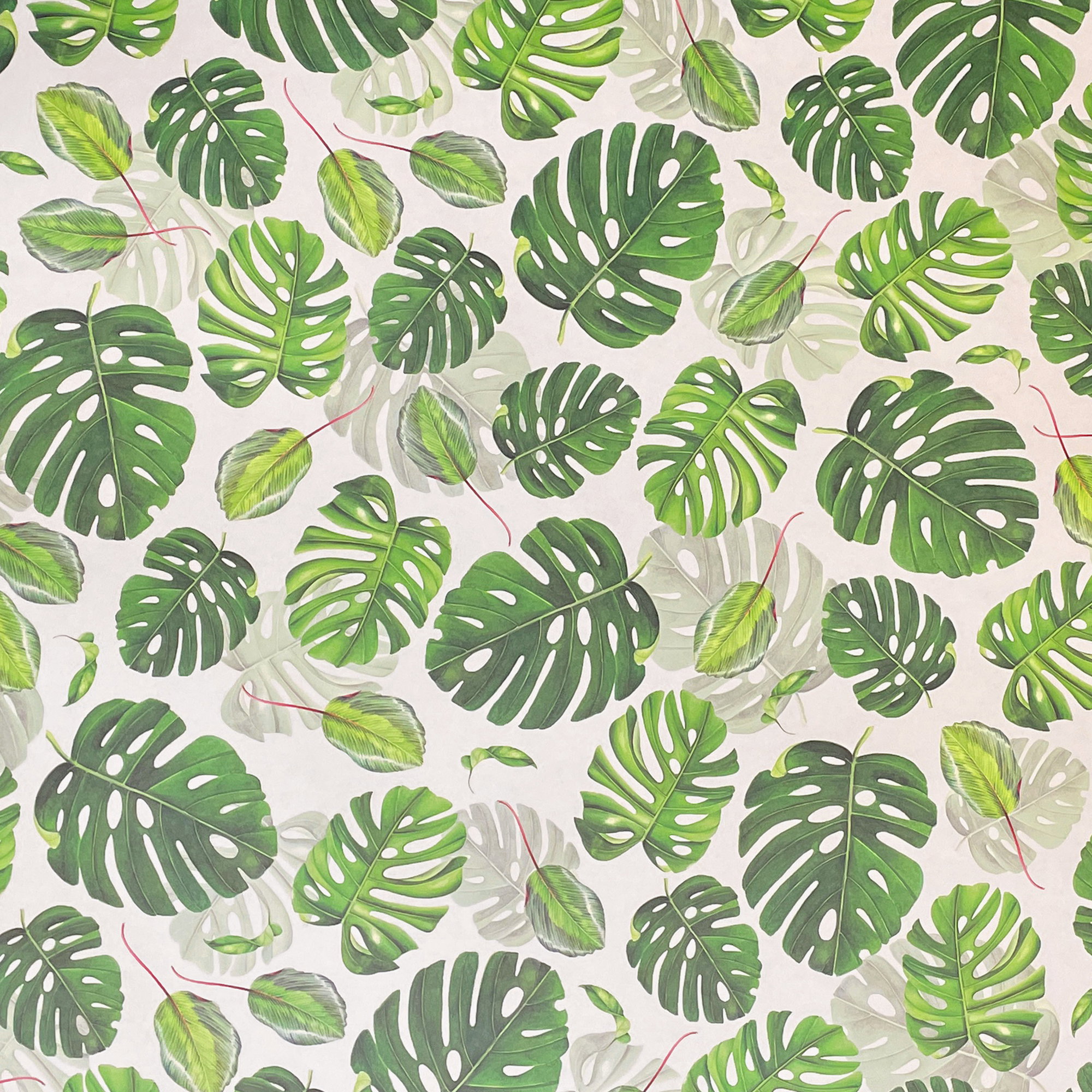 054 - Hojas tropicales