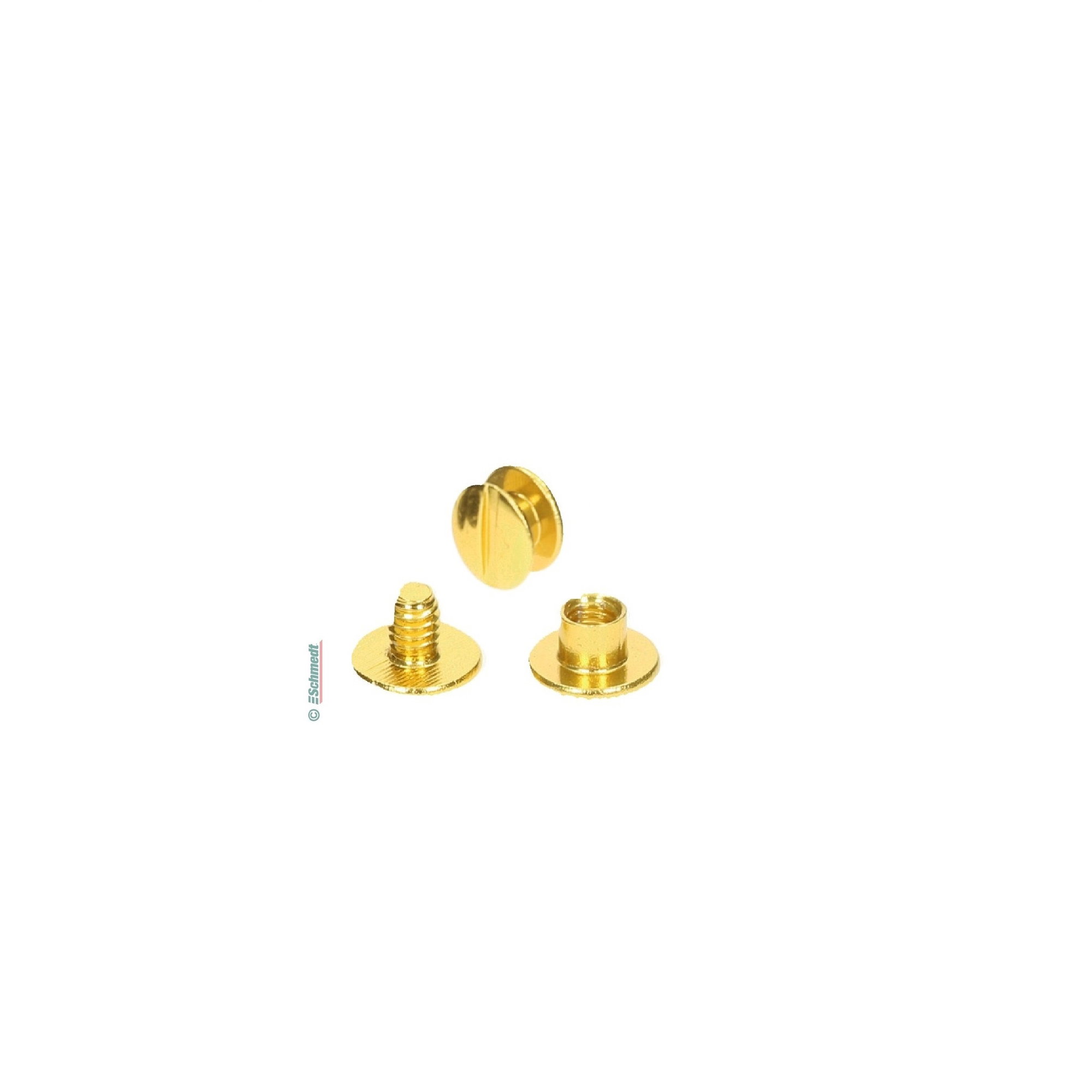 Buchschrauben Premiumqualität - Farbe gold - Füllhöhe (in mm) 3,5 - Buchschrauben ermöglichen die repräsentative Heftung von Büchern, Brosch...