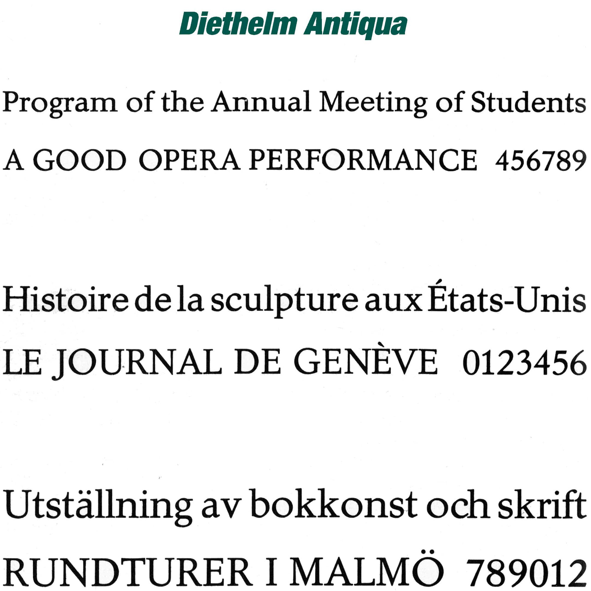 Haas-Schrift Diethelm Antiqua - Prägeschrift aus Zink-Aluminium - zum Einsetzen in einen Schriftkasten (manuell oder für Prägepressen) für d... - Bild-1