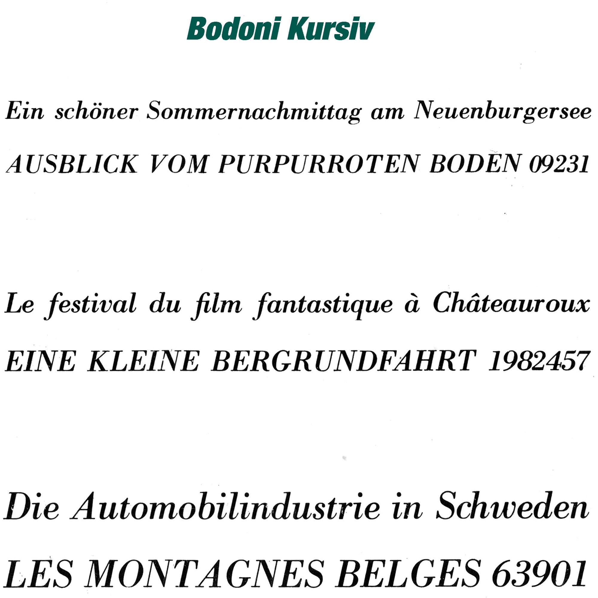 Haas-Schrift Bodoni Kursiv - Prägeschrift aus Zink-Aluminium - zum Einsetzen in einen Schriftkasten (manuell oder für Prägepressen) für die ... - Bild-1