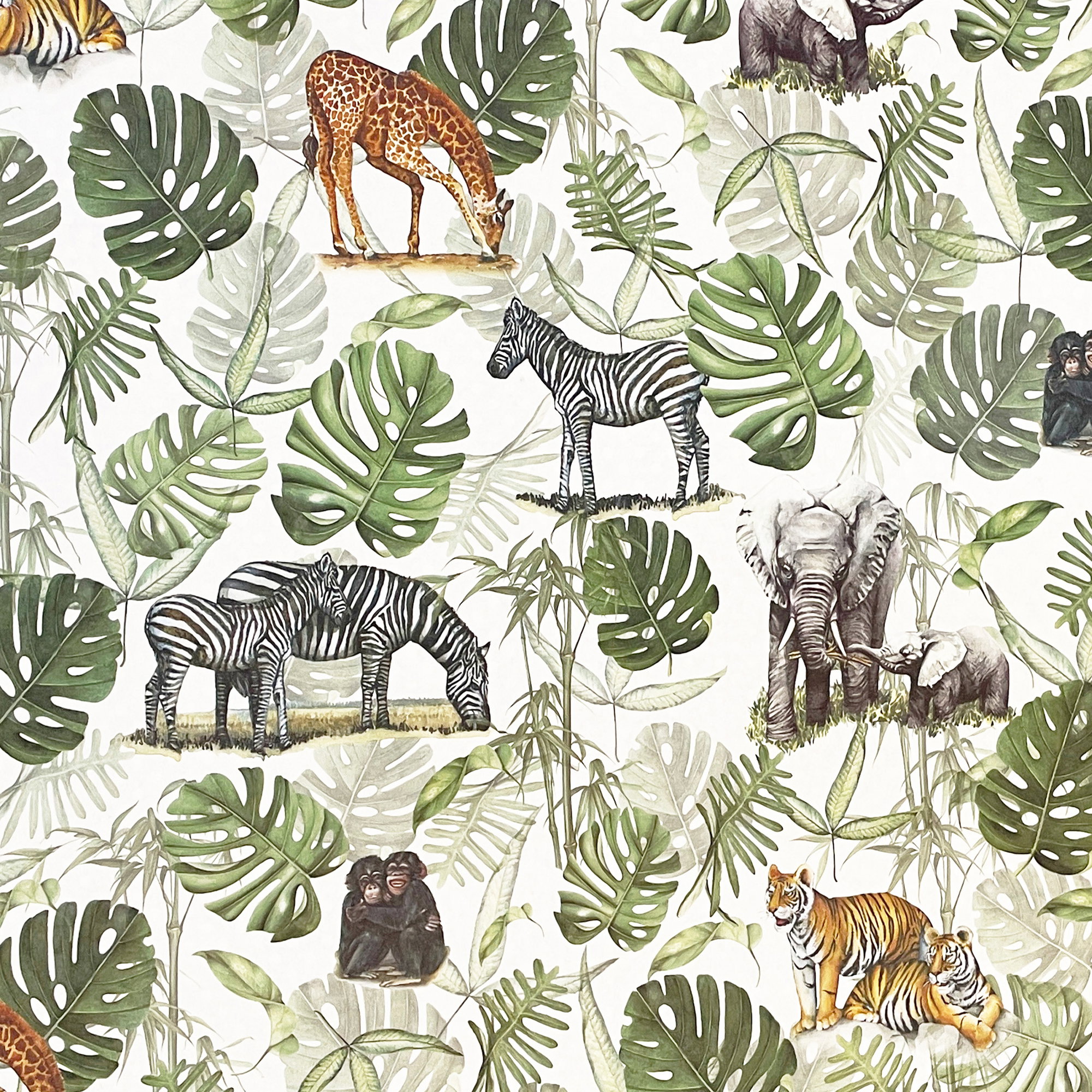 059 - Safari