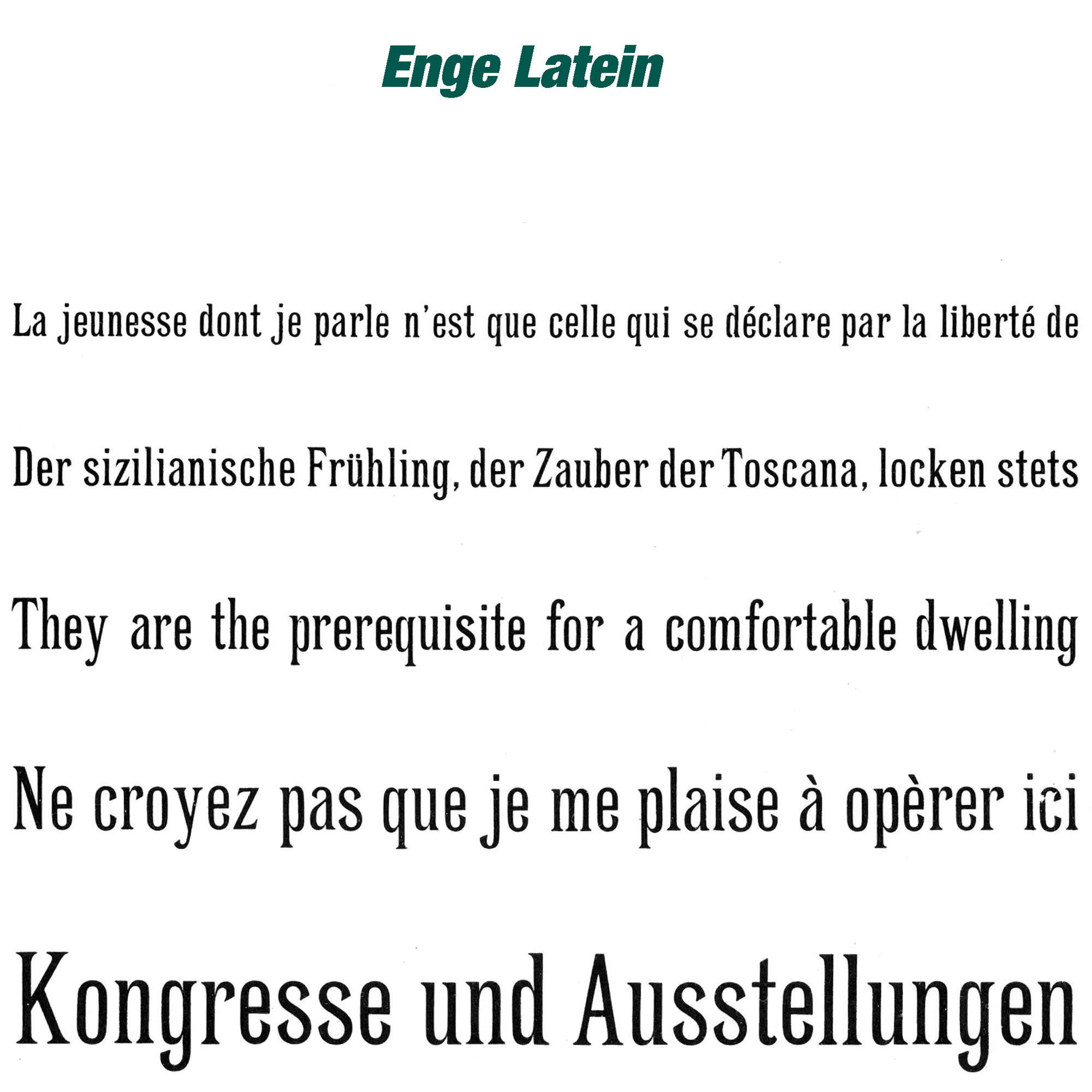 Haas-Schrift Enge Latein - Prägeschrift aus Zink-Aluminium - zum Einsetzen in einen Schriftkasten (manuell oder für Prägepressen) für die He... - Bild-1