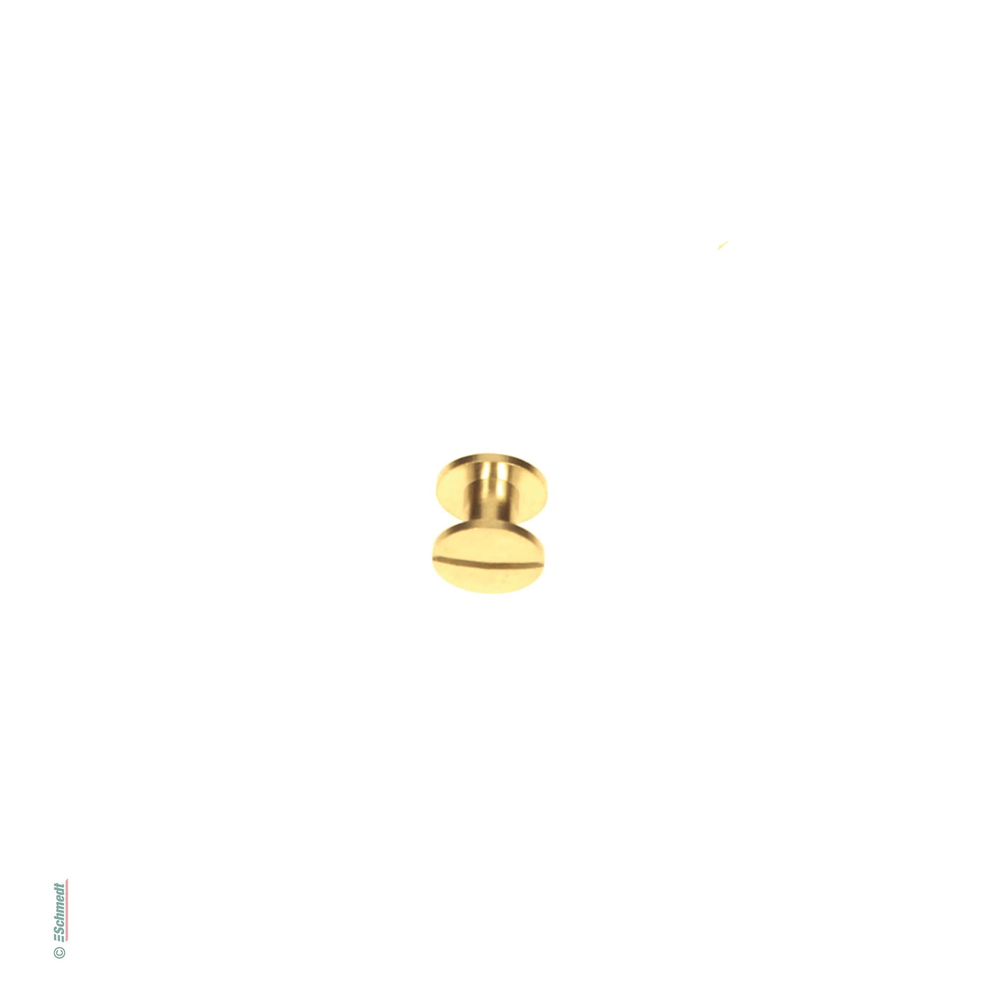Binding screws - premium quality - Filling height (in mm) 6 - Colour golden - Applications: With binding screws (screw posts), books, brochu...