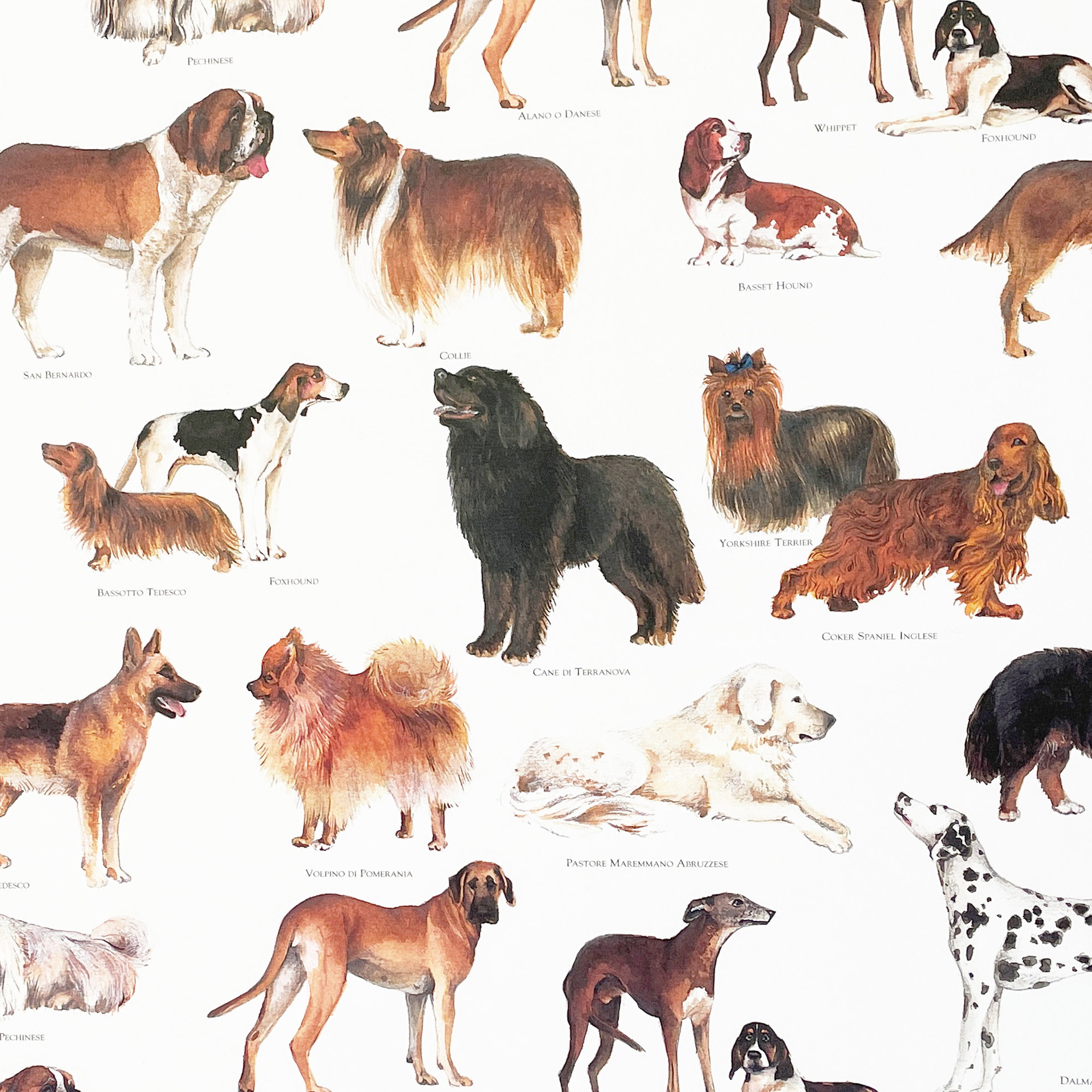 Papel decorado • Gramaje: 85 g/m² - Color 064 - Perros - papel impreso, se puede usar como papel cobertor para encuadernaciones de libros, á... - imagen-1
