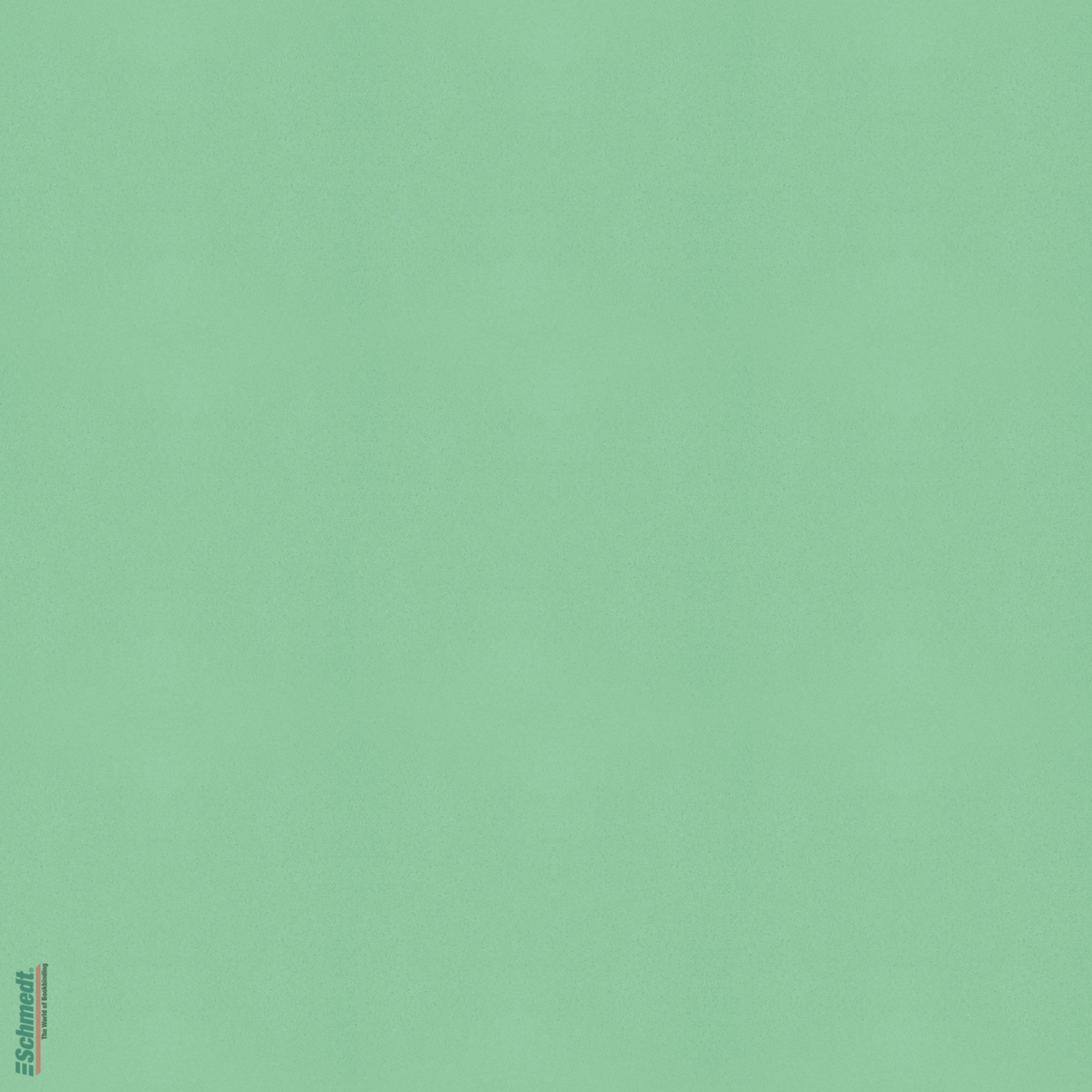 Sidra • cuero de manzana - Color 009 - menta - Aplicación: para tapas de libros de alta calidad, álbumes, menús, cajas etc.... - imagen-1