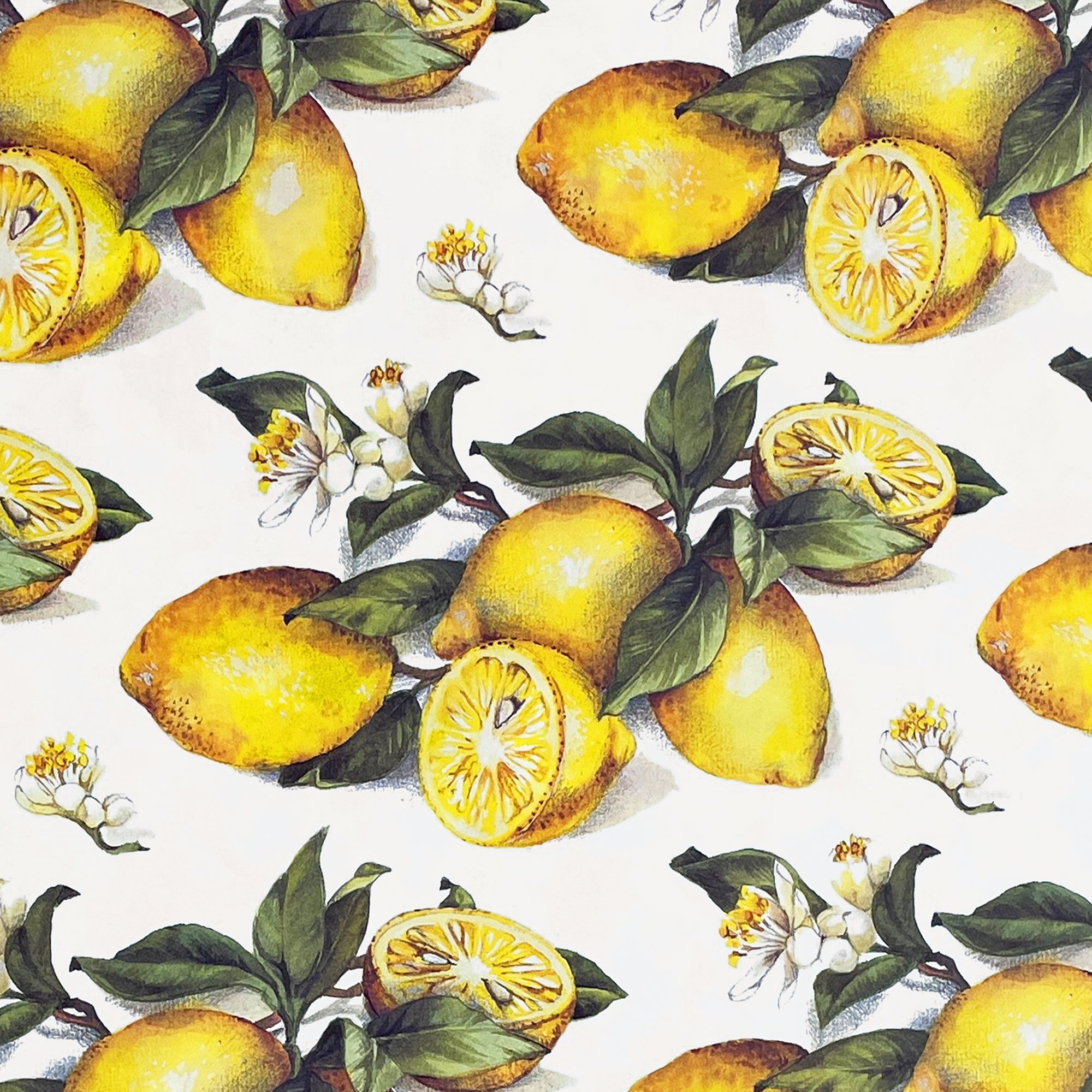 010 - Limones