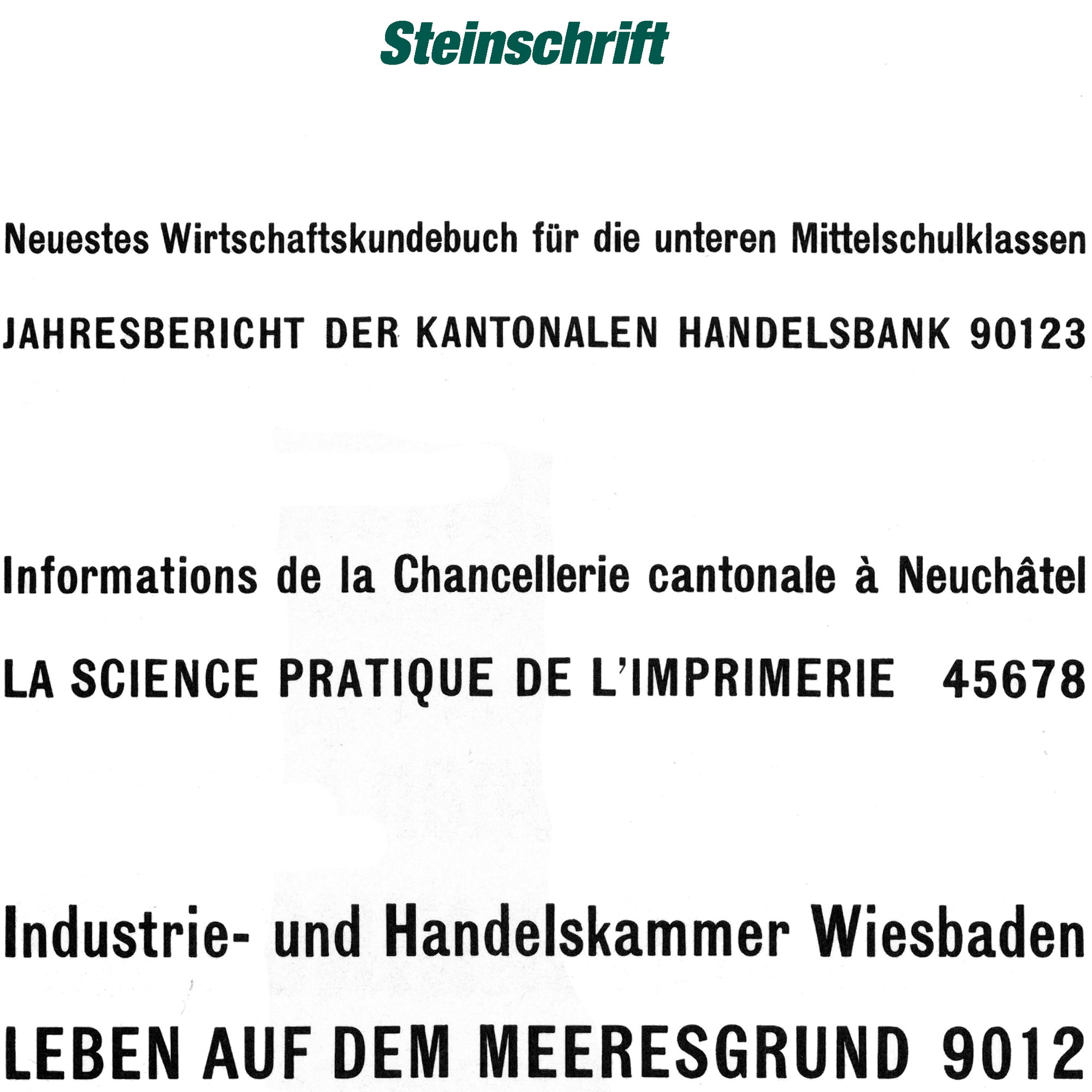 Haas-Schrift Steinschrift - Prägeschrift aus Zink-Aluminium - zum Einsetzen in einen Schriftkasten (manuell oder für Prägepressen) für die H... - Bild-1