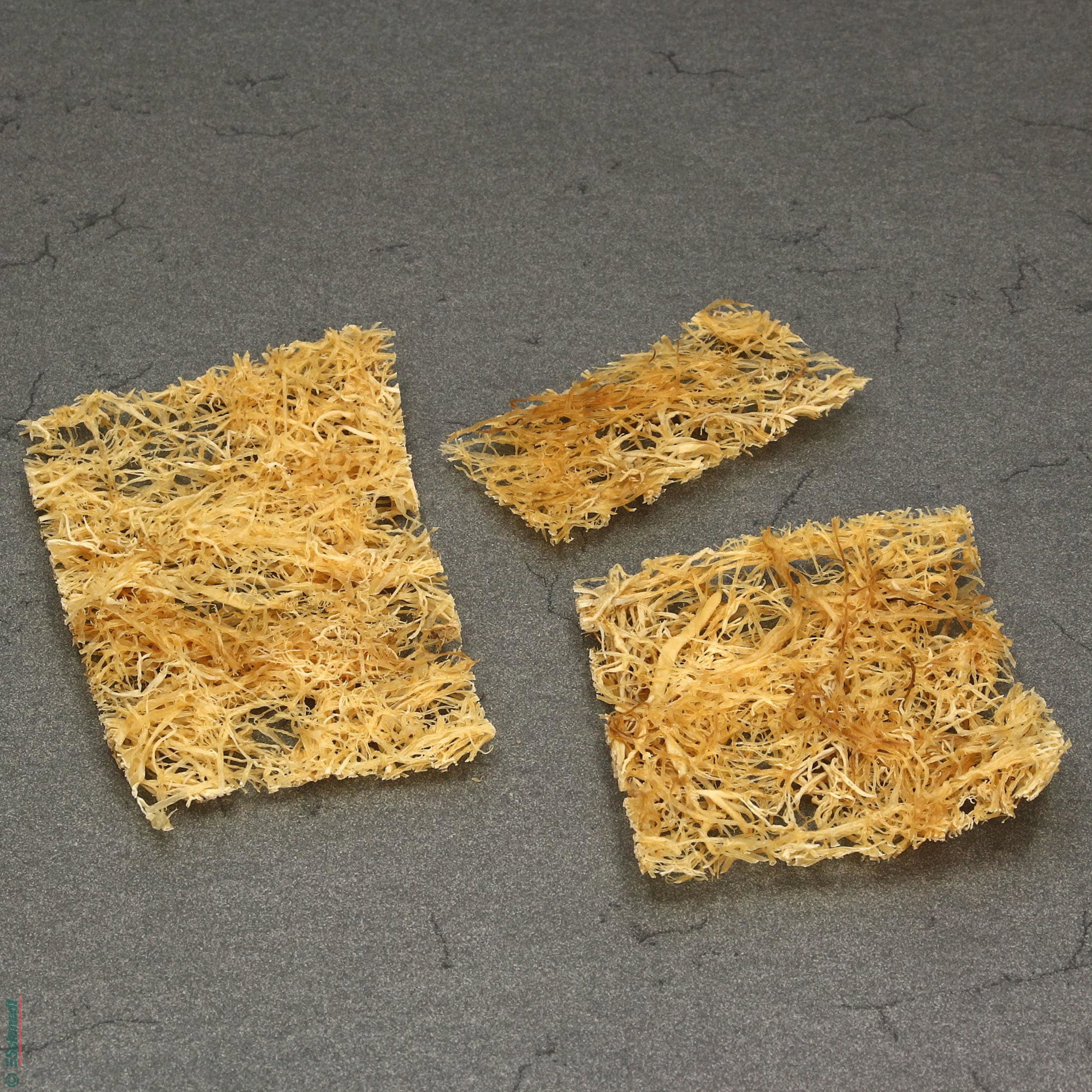 Colle d'algues japonaise Fu-Nori - pour la restauration - pour lier fibres lors de la fabrication de papier très antidéchirure... - image-1