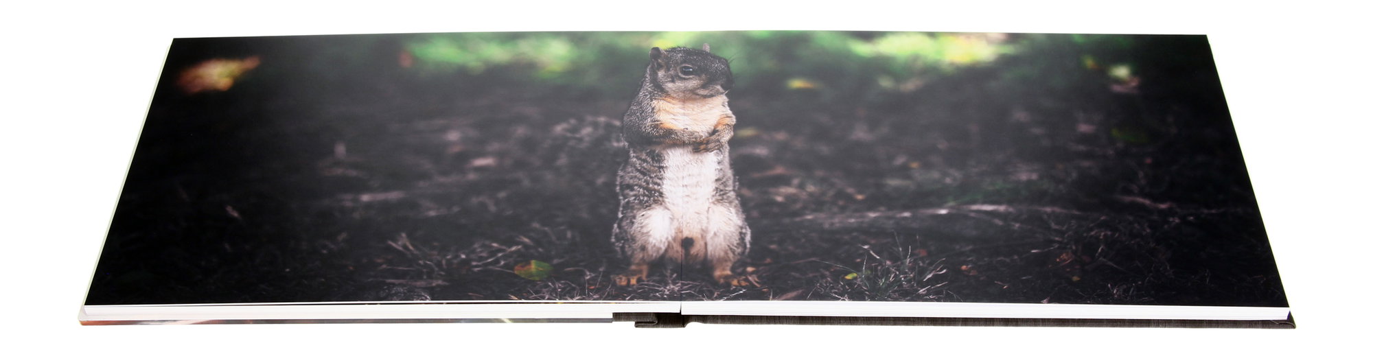 Aufgeklapptes Layflat-Fotobuch mit Layflat-Bindung und Titelseite aus Acrylglas