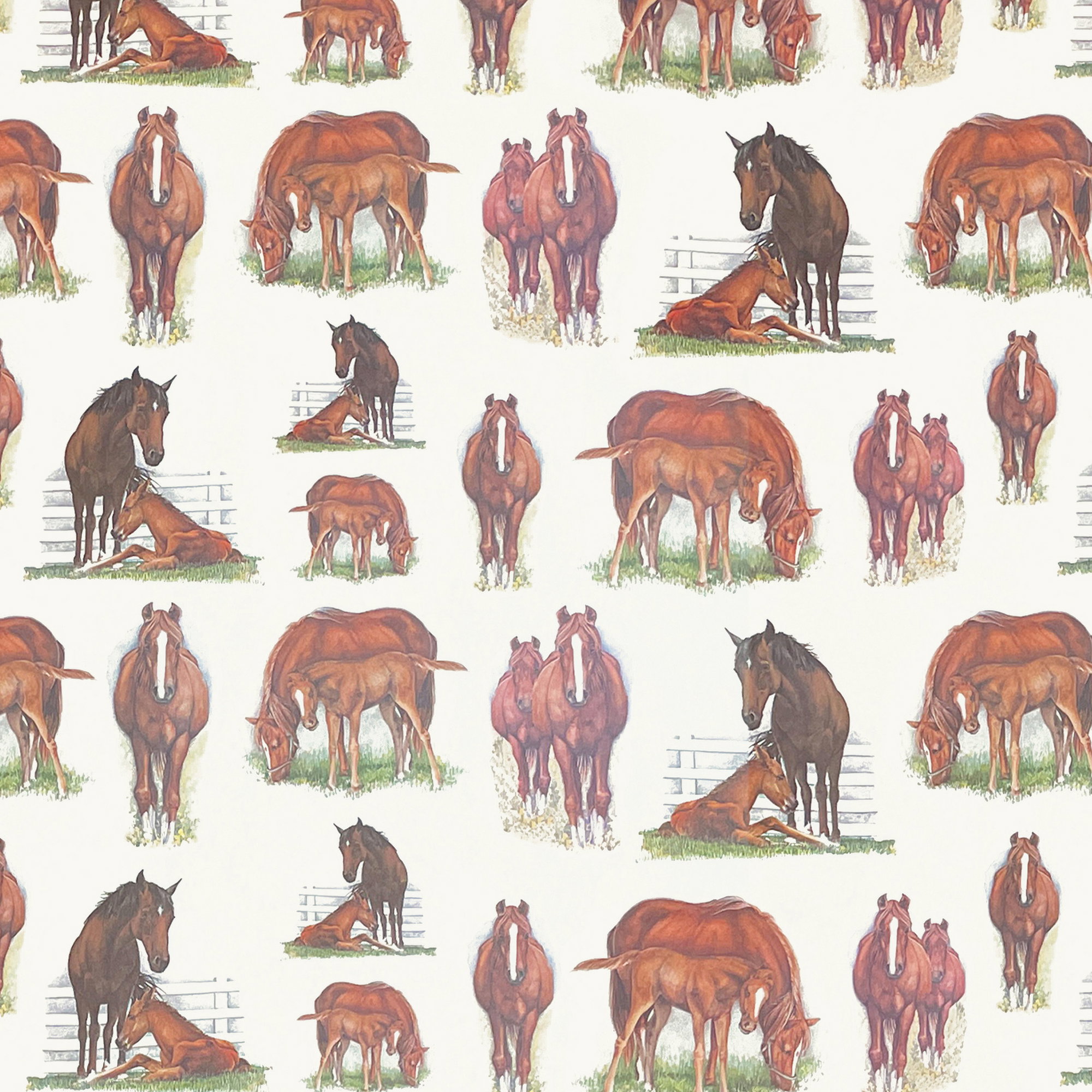 063 - Caballos