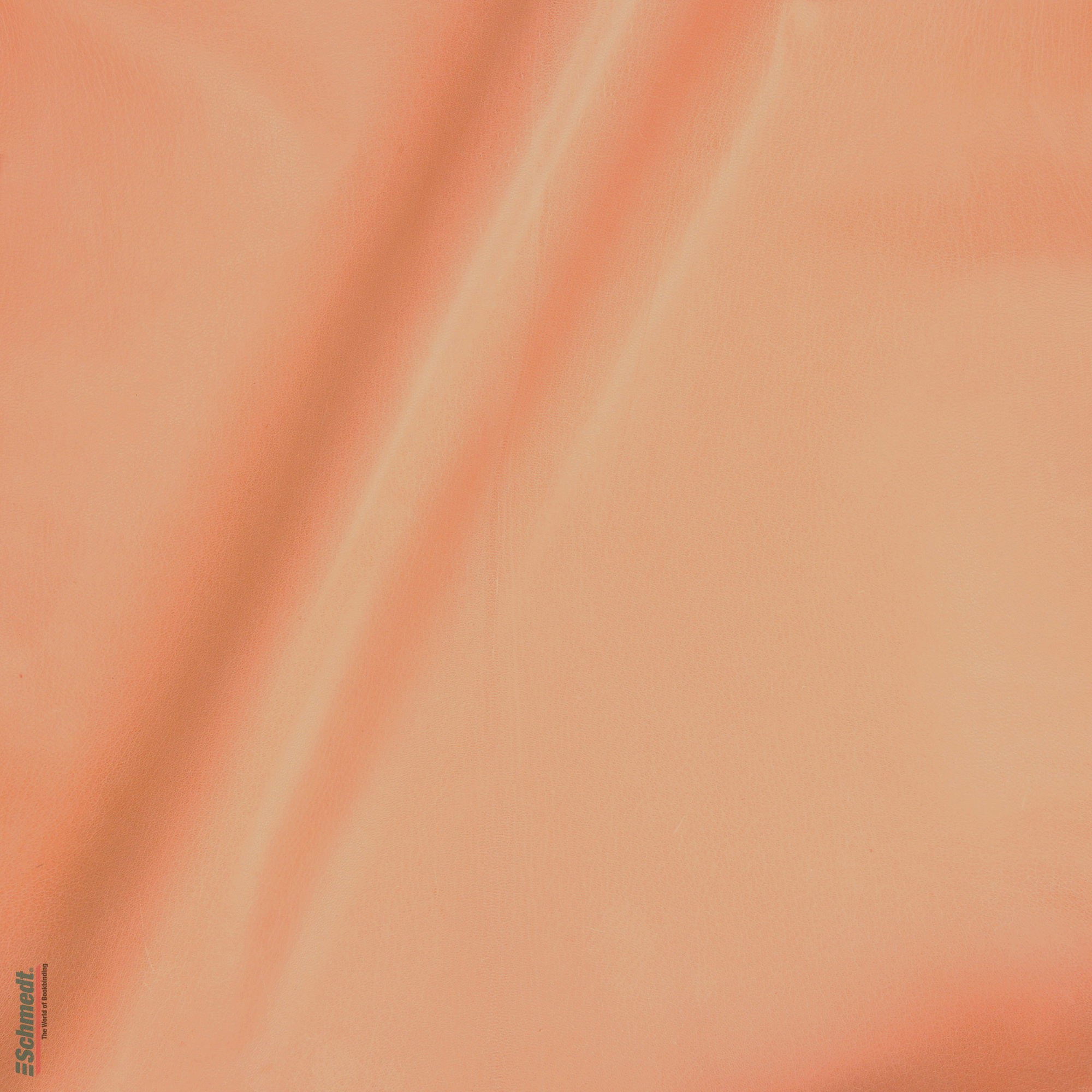 019 - orange