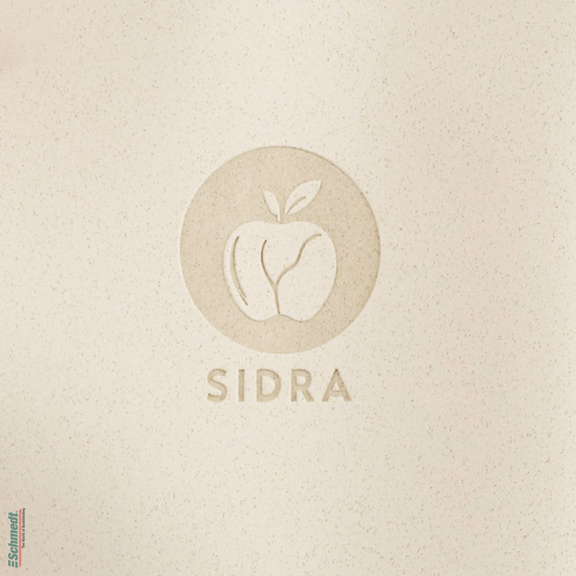 Sidra • cuero de manzana - Color 020 - beís - Aplicación: para tapas de libros de alta calidad, álbumes, menús, cajas etc.... - imagen-2