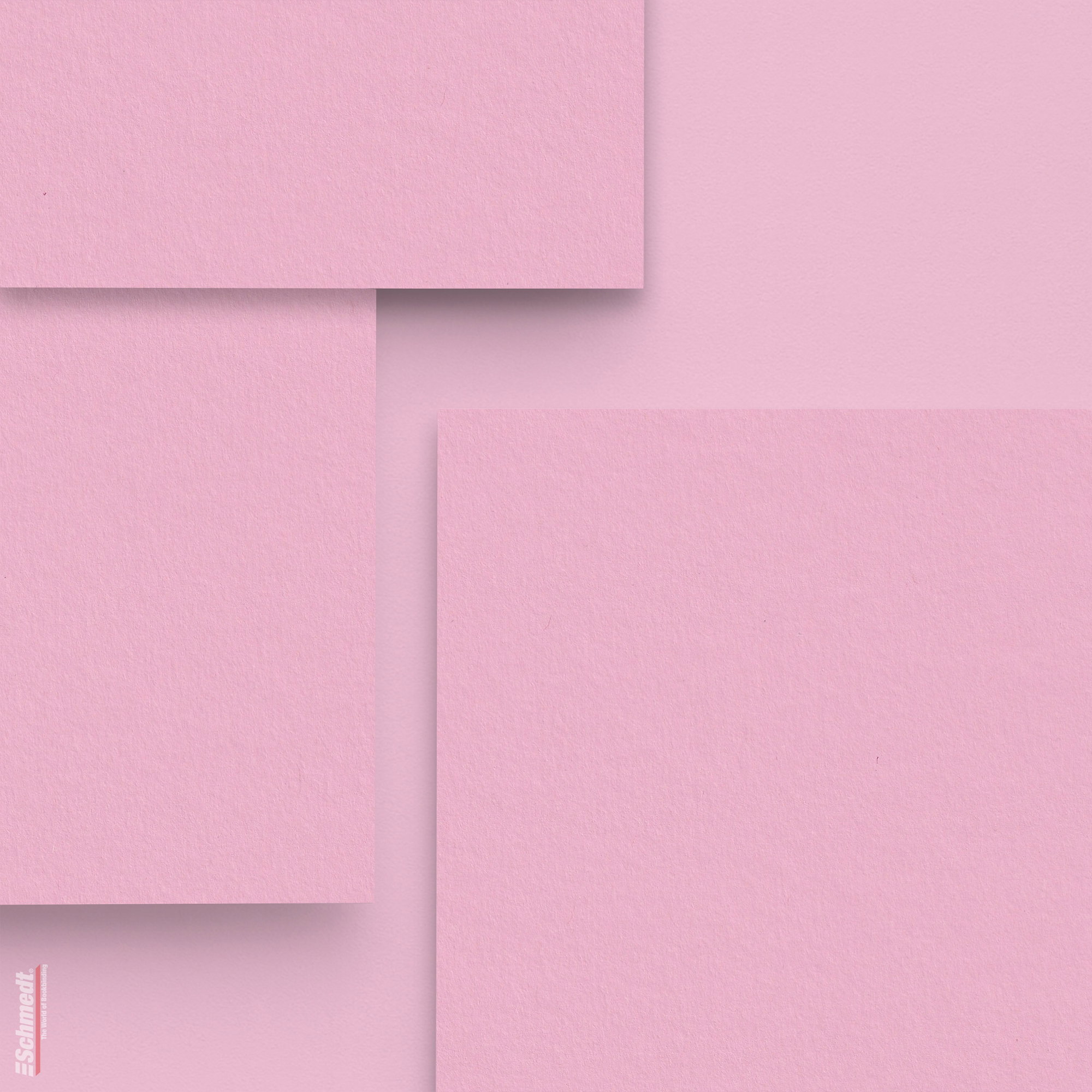 012 - rosa