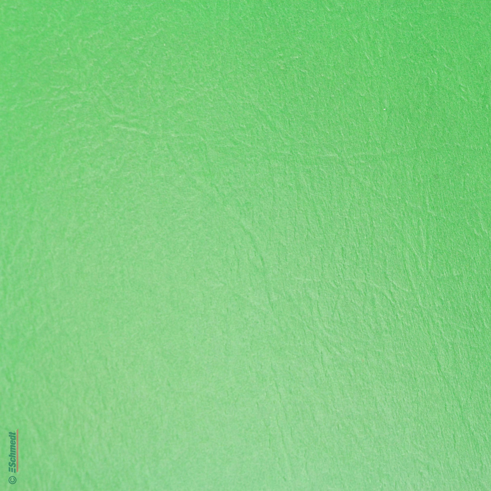 Cartón para carpetas de cartón comprimido - Color 006 - verde palma - Formato 61 x 91 cm - para confección de carpetas de presentación y alm...