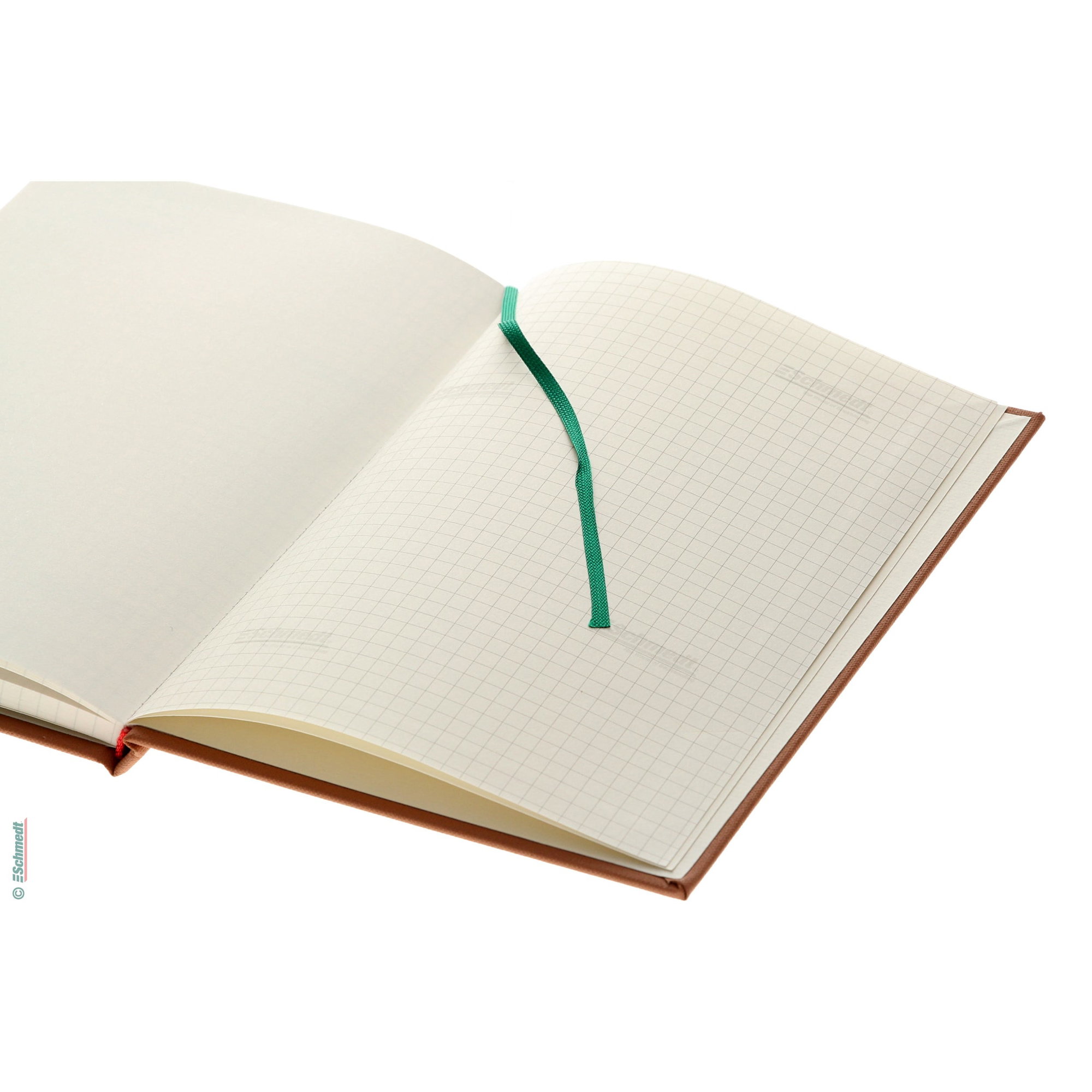 Ruban signet (marque-page) - Couleur 005 - vert - Largeur (en mm) env. 4 - 5 - Longueur de rouleau (en m) 500 - est fixé à la tête d'un livr...