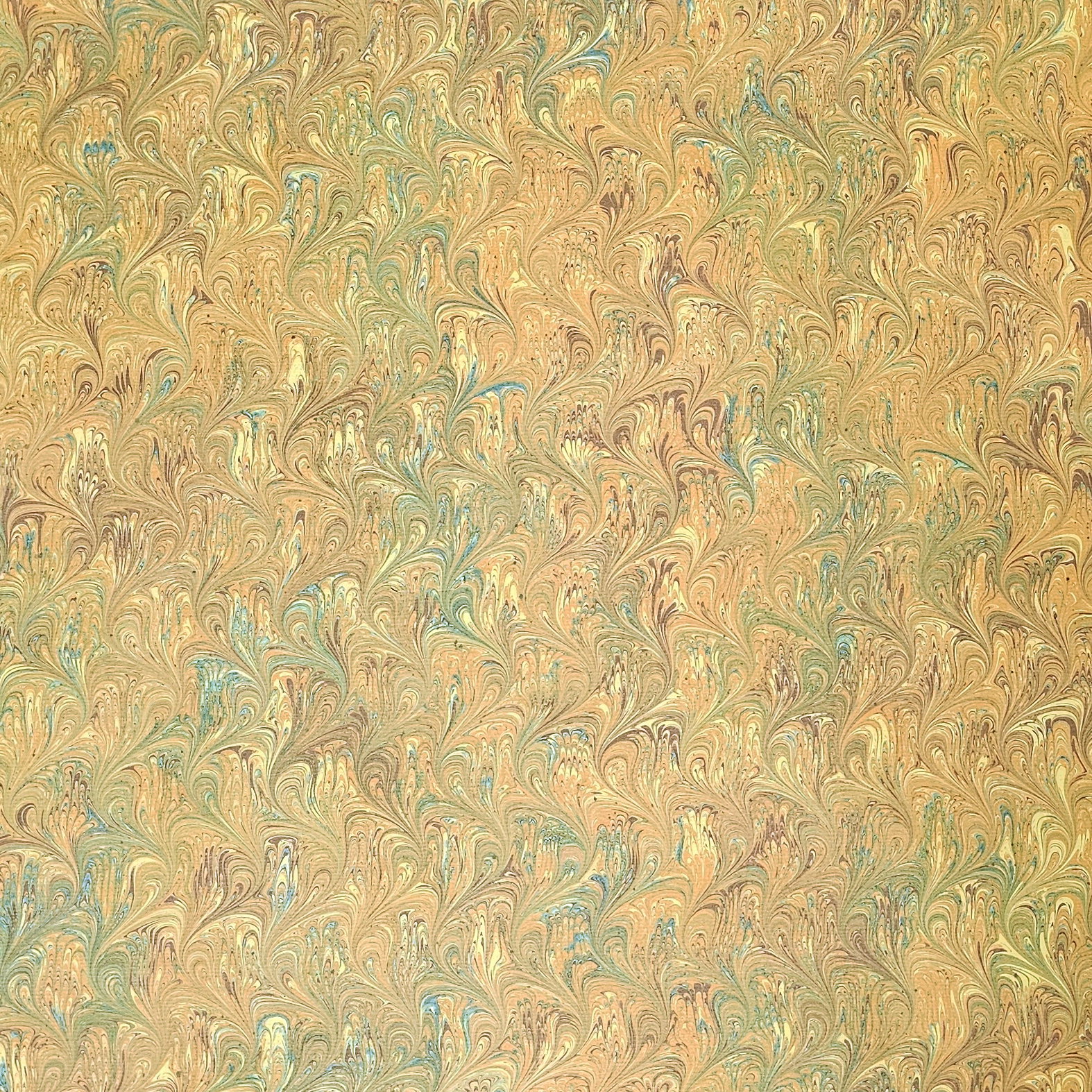 202 - yellow