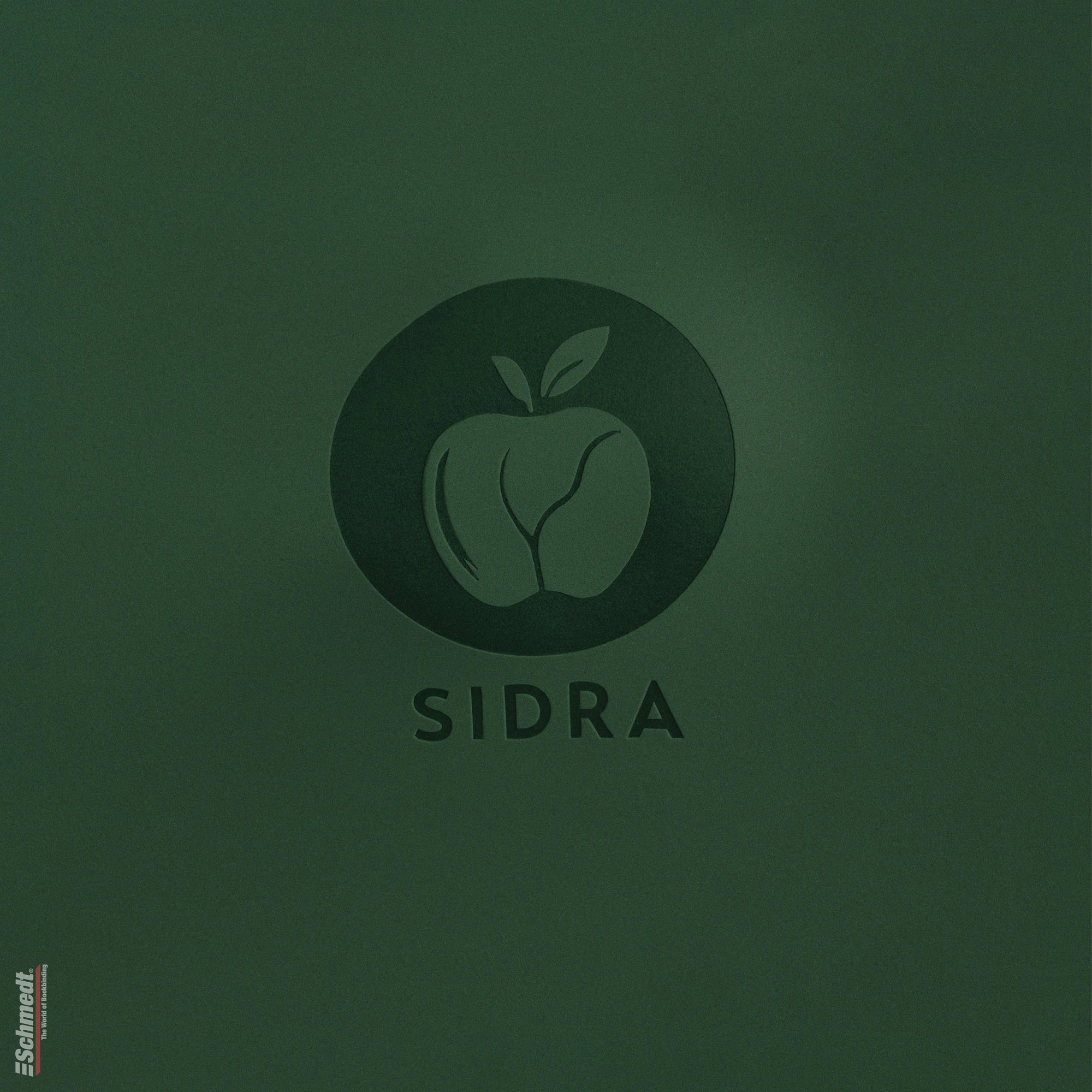 Sidra • cuero de manzana - Color 008 - verde - Aplicación: para tapas de libros de alta calidad, álbumes, menús, cajas etc.... - imagen-2