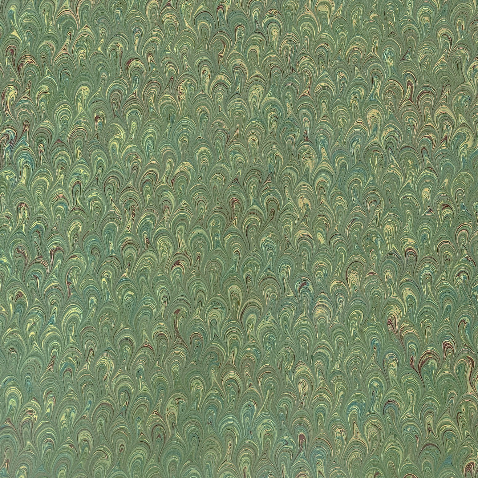 519 - green