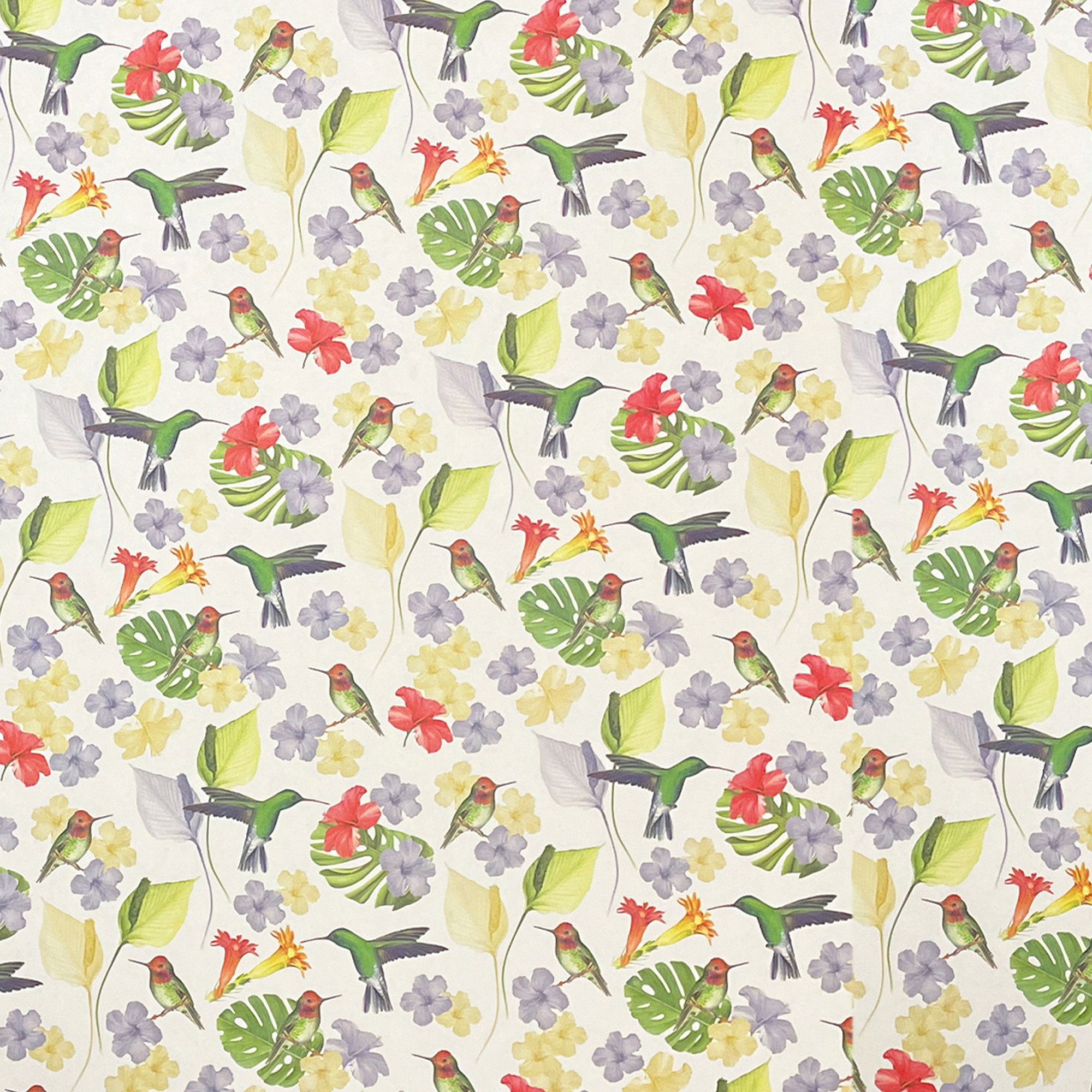 060 - Colibri