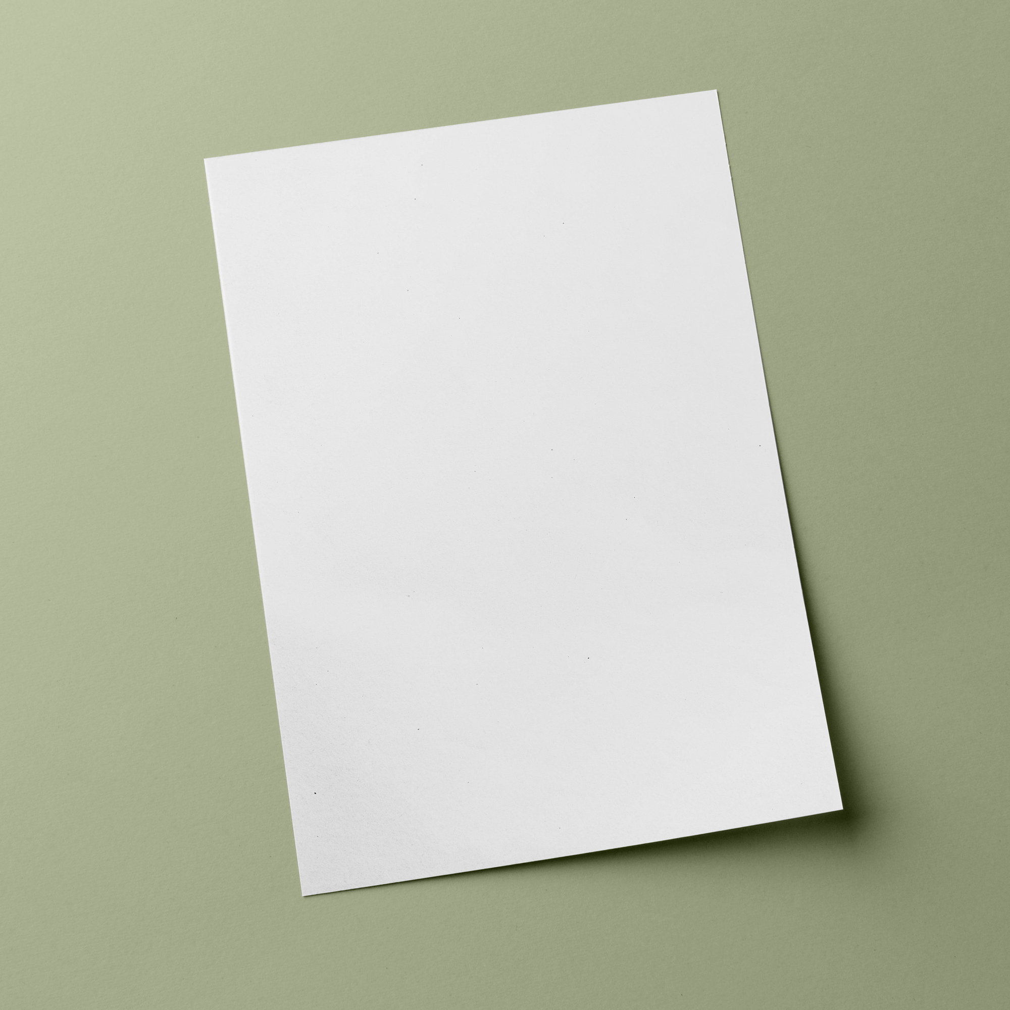 Cartón offset  | blanco - Formato: 100 x 70 cm - sentido de fibra transversal - para tarjetas de muestra, tarjetas de visita, modelaje, como... - imagen-1