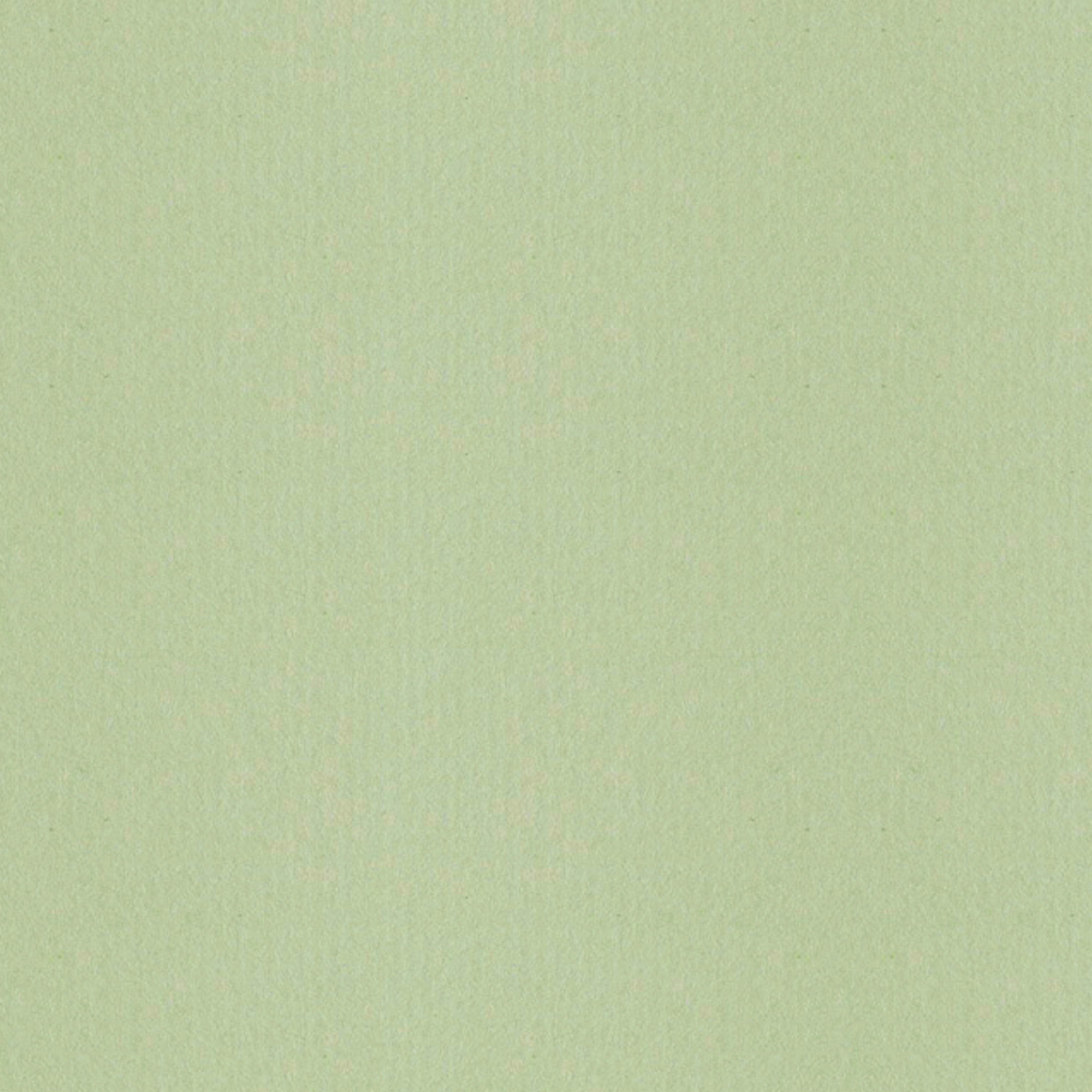 Bugra - deckle-edge paper - Colour 308 - light green - to be used as endpaper or exclusive cover material for books. Also suitable for singl... - image-1
