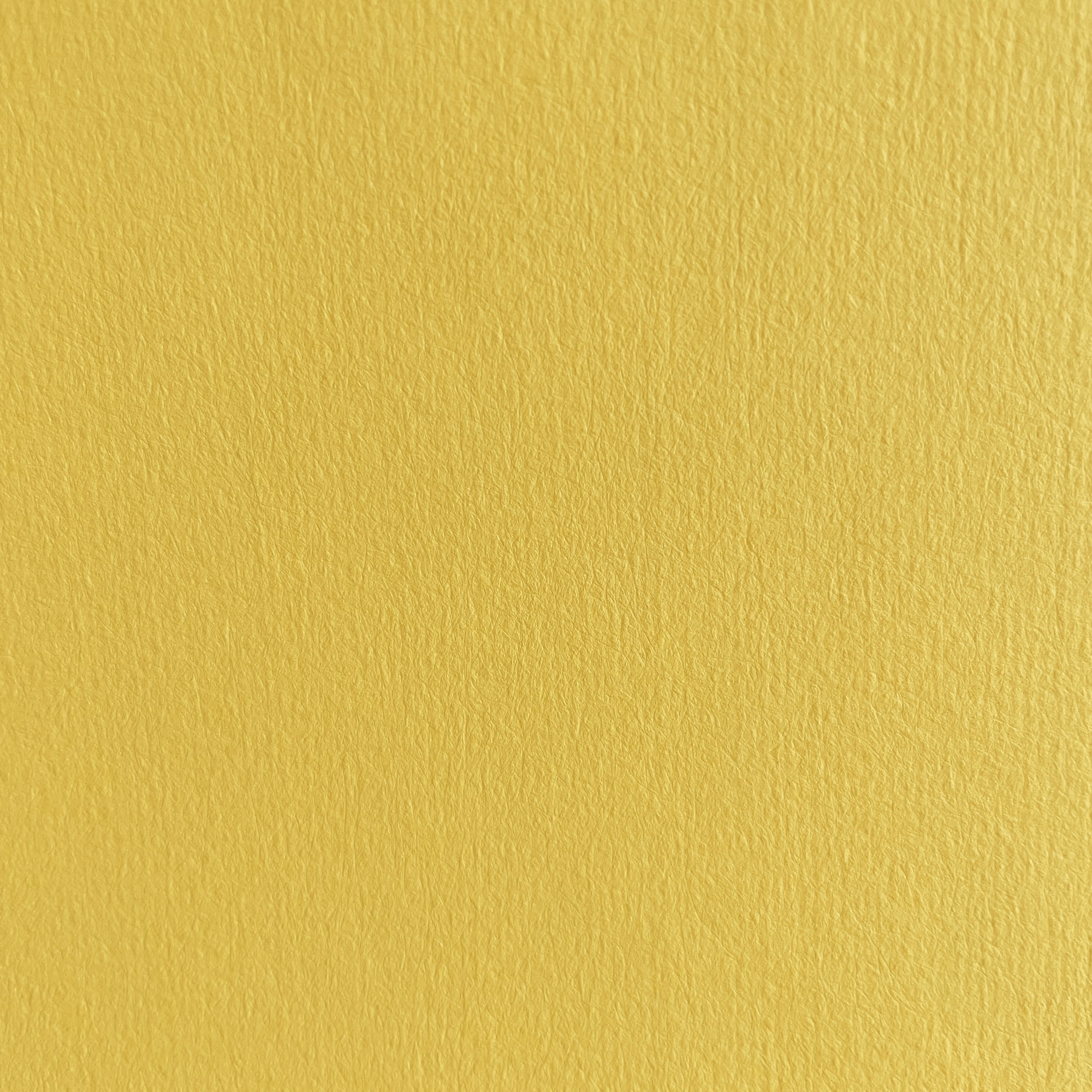 131 - amarillo colza