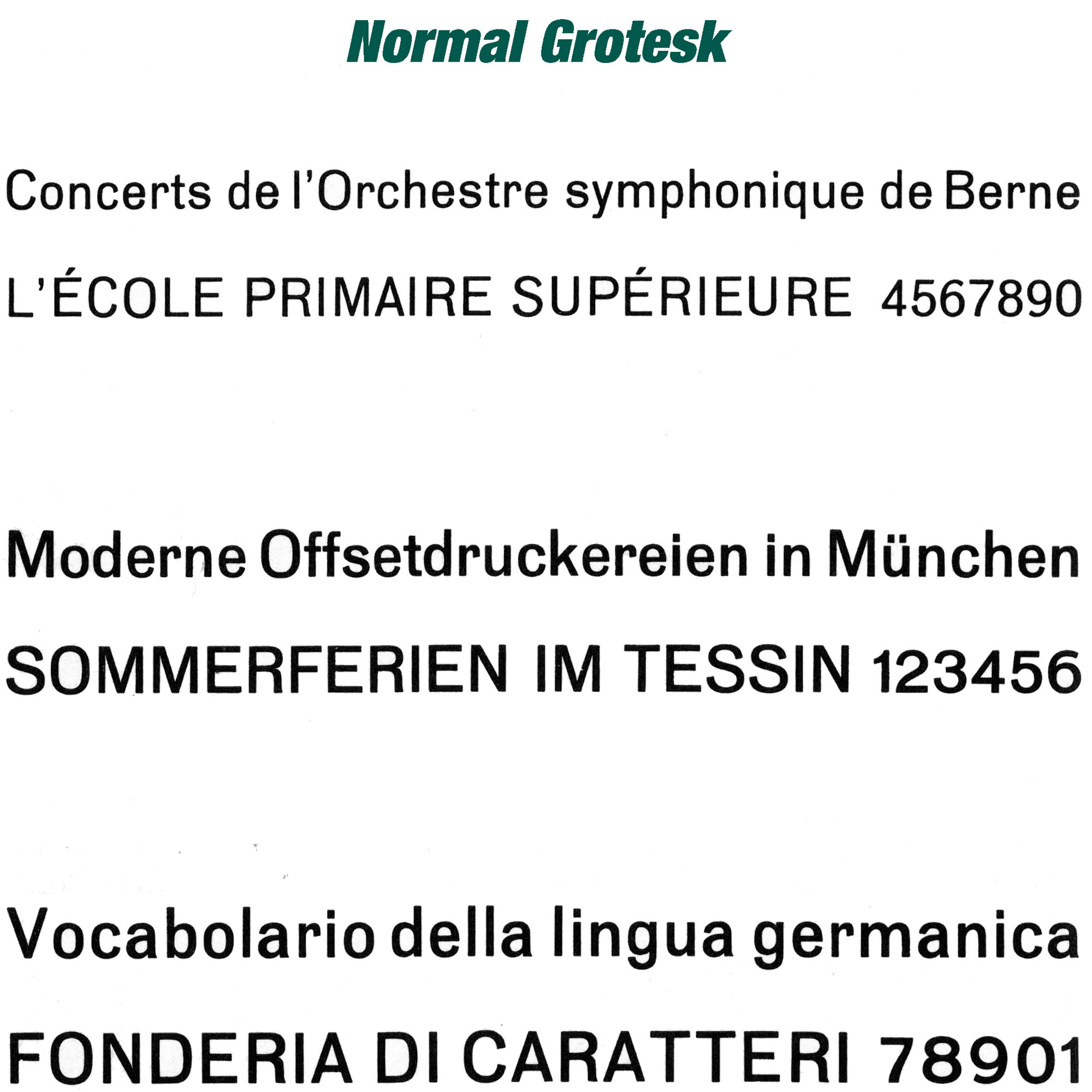 Haas-Schrift Normal Grotesk - Prägeschrift aus Zink-Aluminium - zum Einsetzen in einen Schriftkasten (manuell oder für Prägepressen) für die... - Bild-1