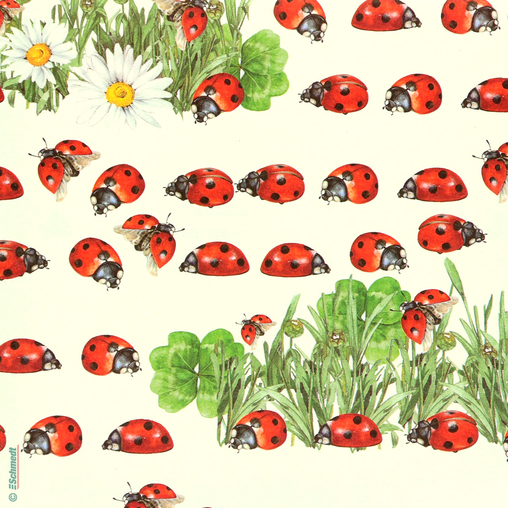 039 - Mariquitas