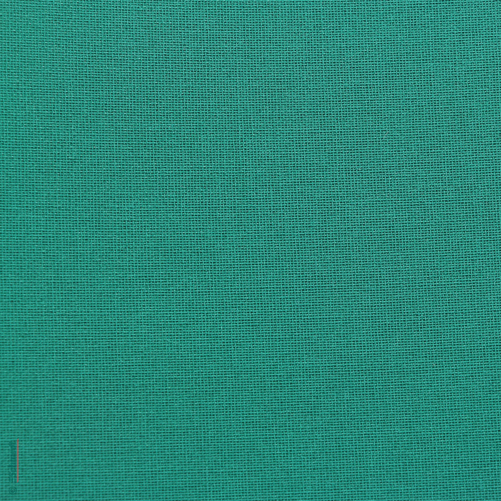 318 - cèdre