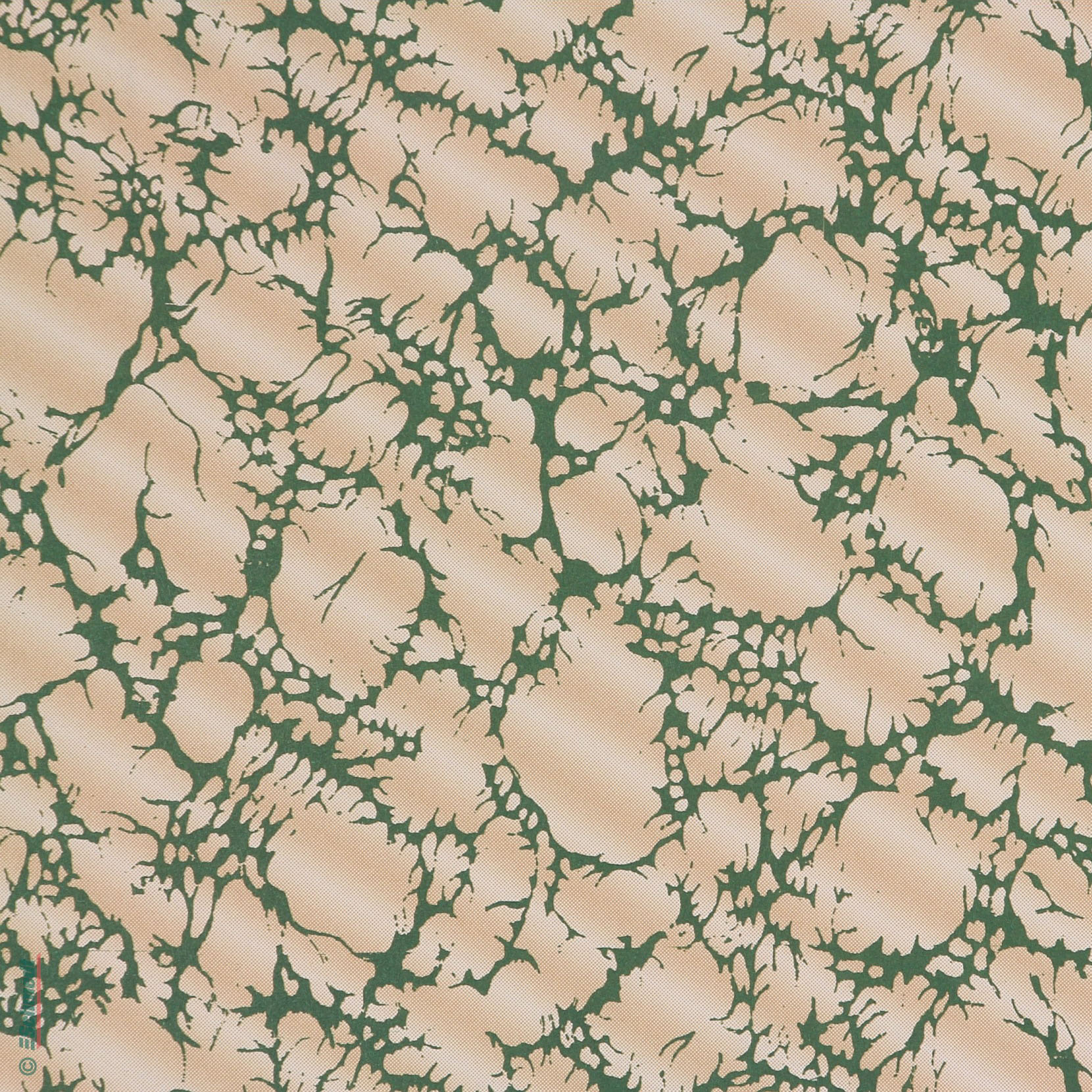 000 - vert/marron