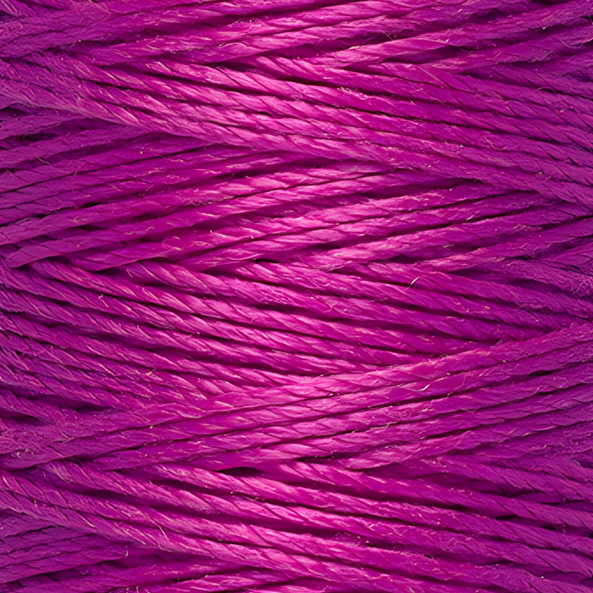 321 - fucsia