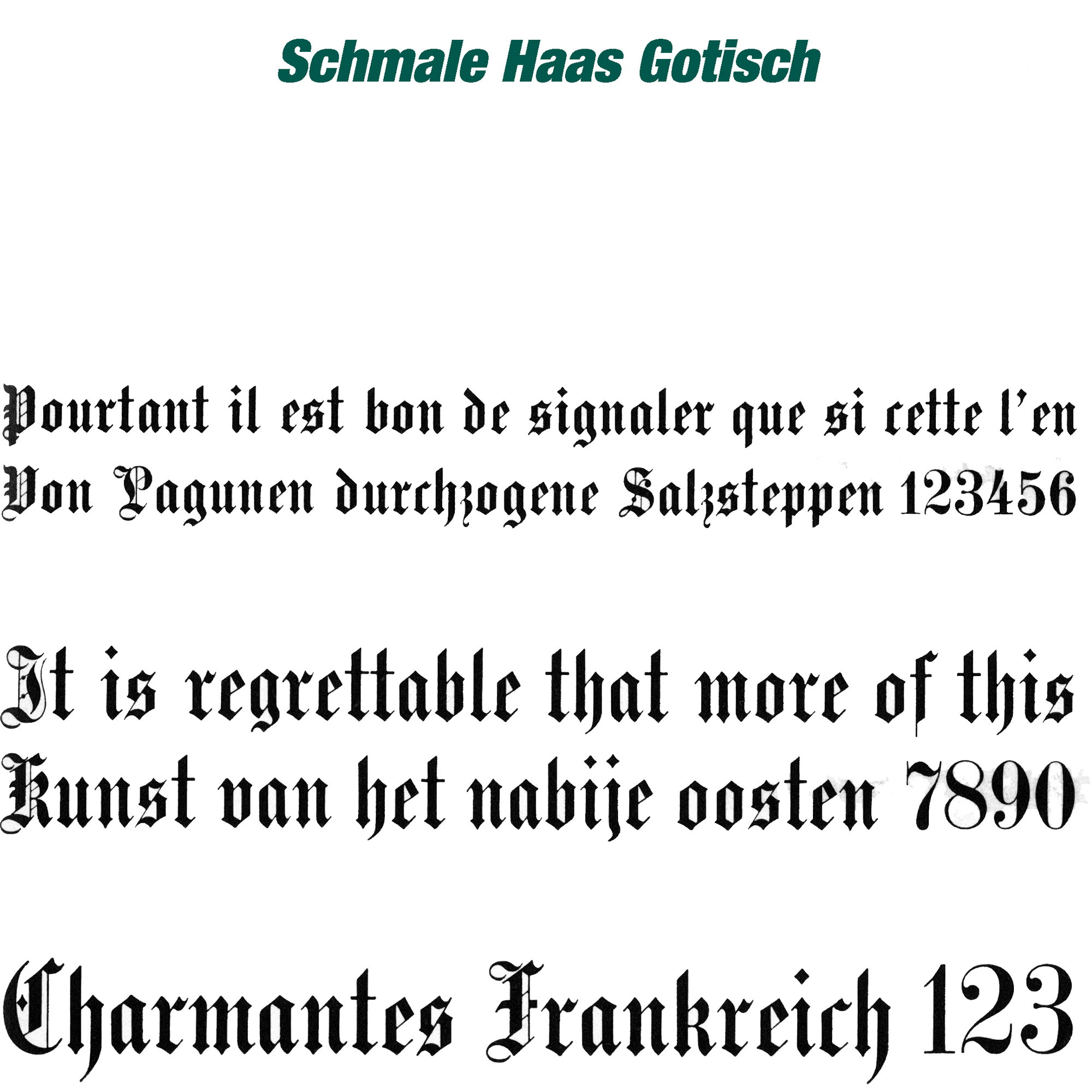 Haas-Schrift Schmale Haas Gotisch - Prägeschrift aus Zink-Aluminium - zum Einsetzen in einen Schriftkasten (manuell oder für Prägepressen) f... - Bild-1
