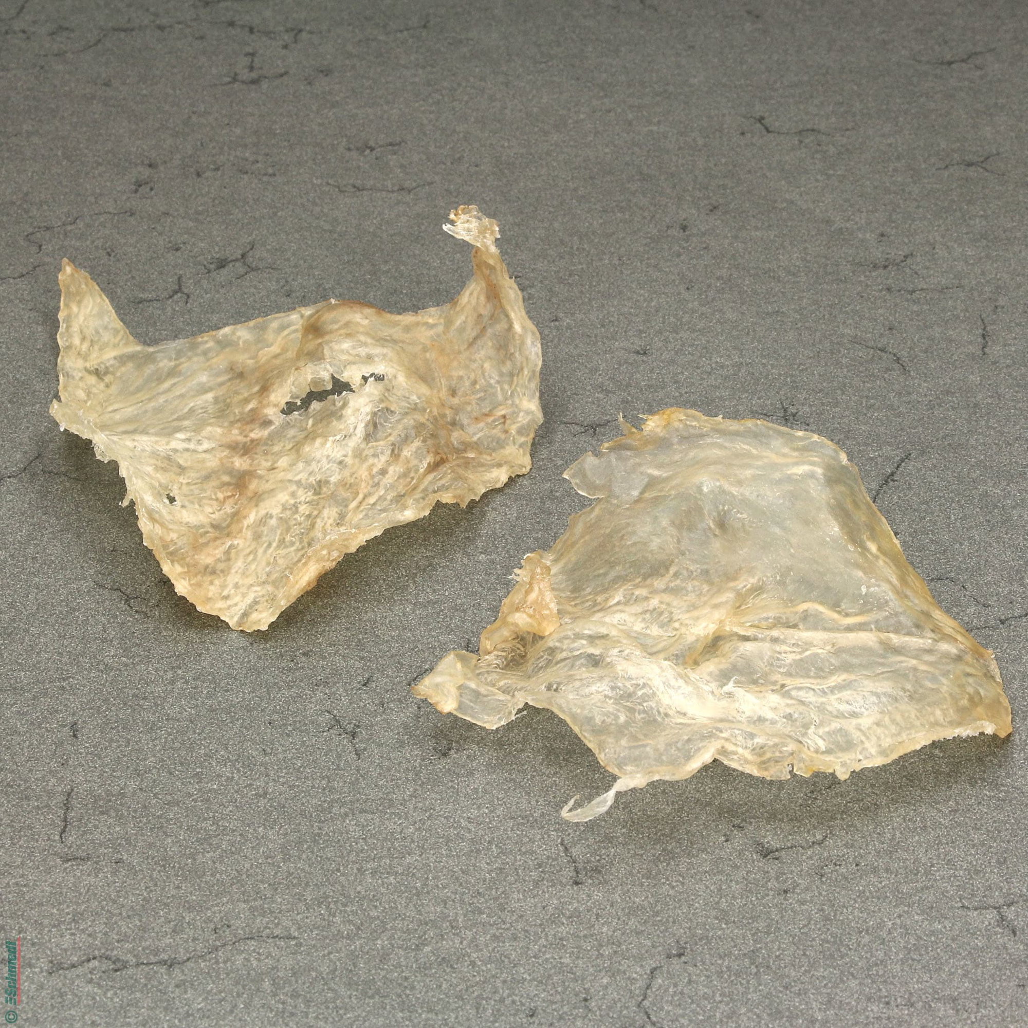 Colle de vessie d'esturgeon (ichtyocolle) - pour l'encollage à contrainte faible - réparations de couvertures de livres, fixer des couches d... - image-2