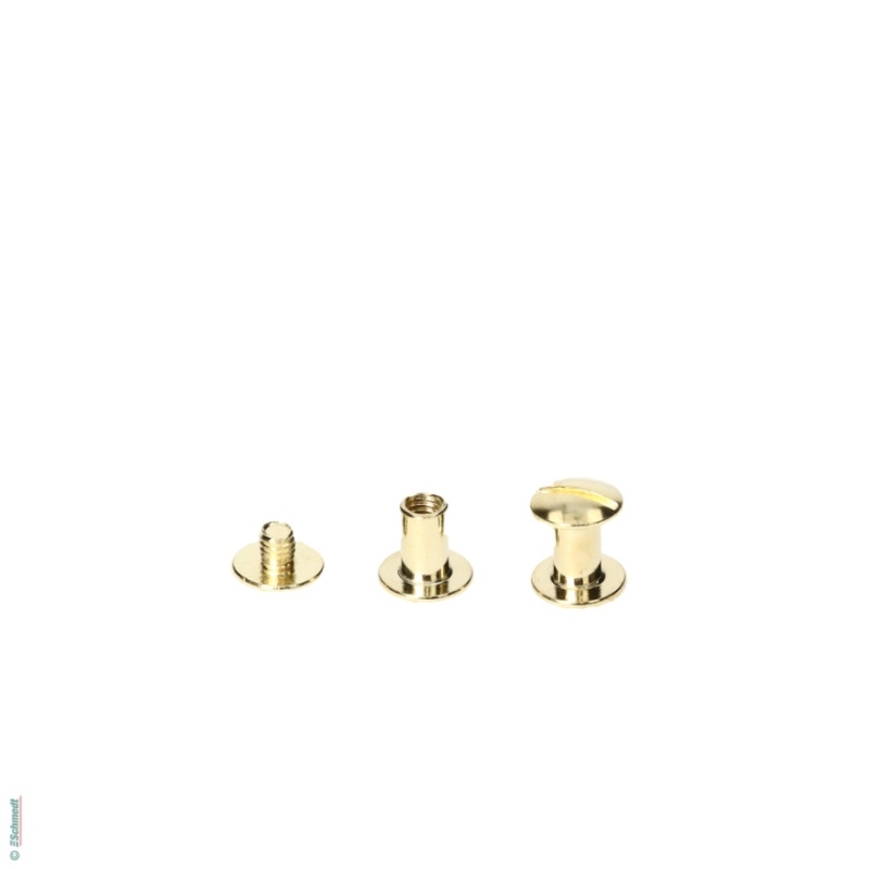 Binding screws standard quality - Filling height (in mm) 8 - Applications: With binding screws (screw posts), books, brochures and loose-lea...