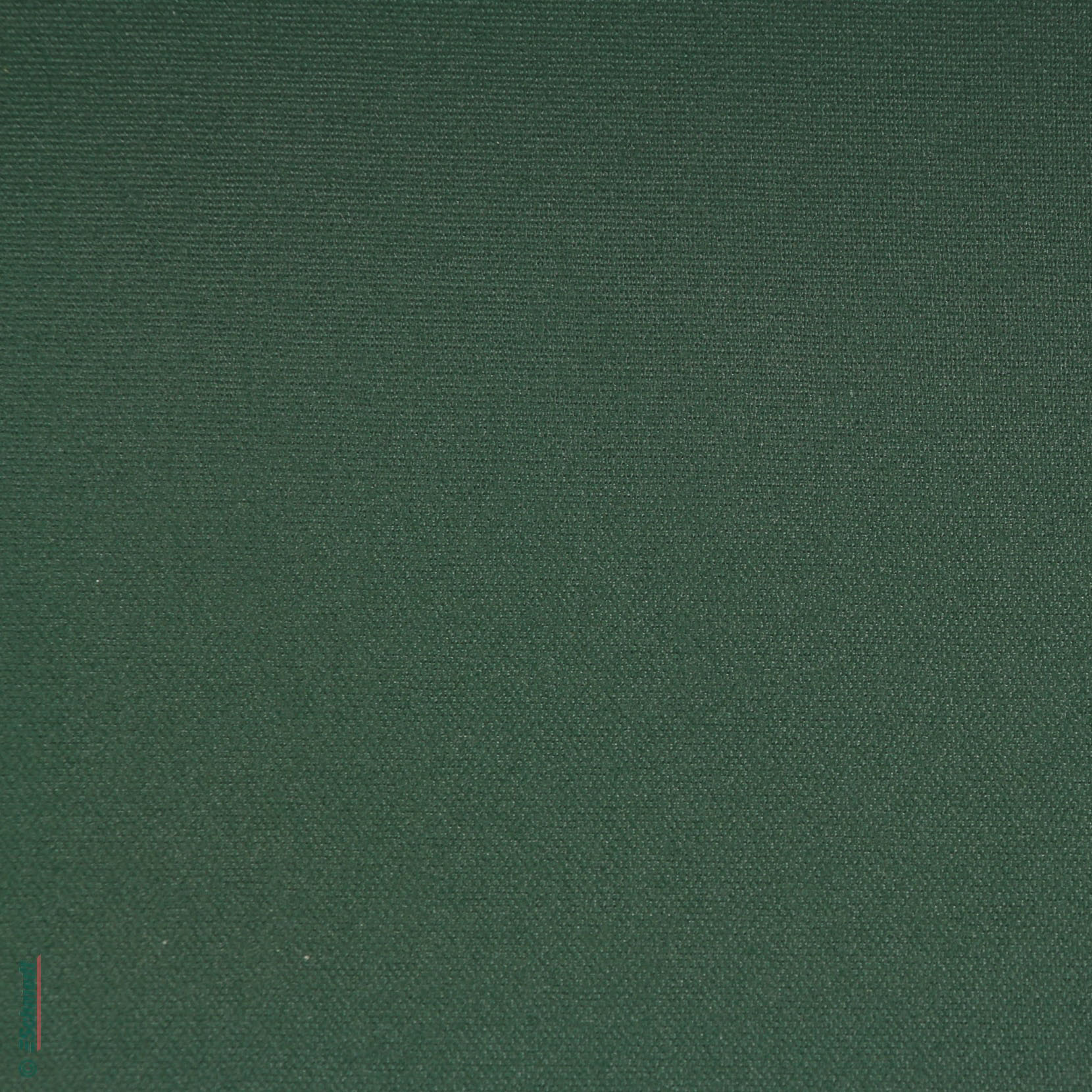 102 - dark green