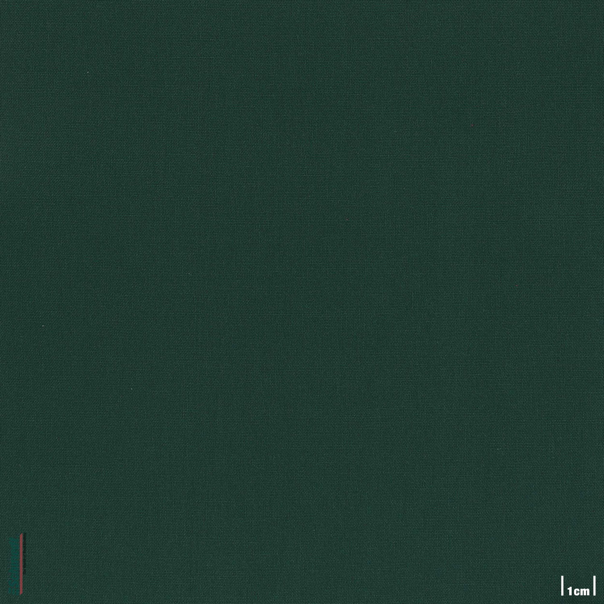 010 - verde oscuro